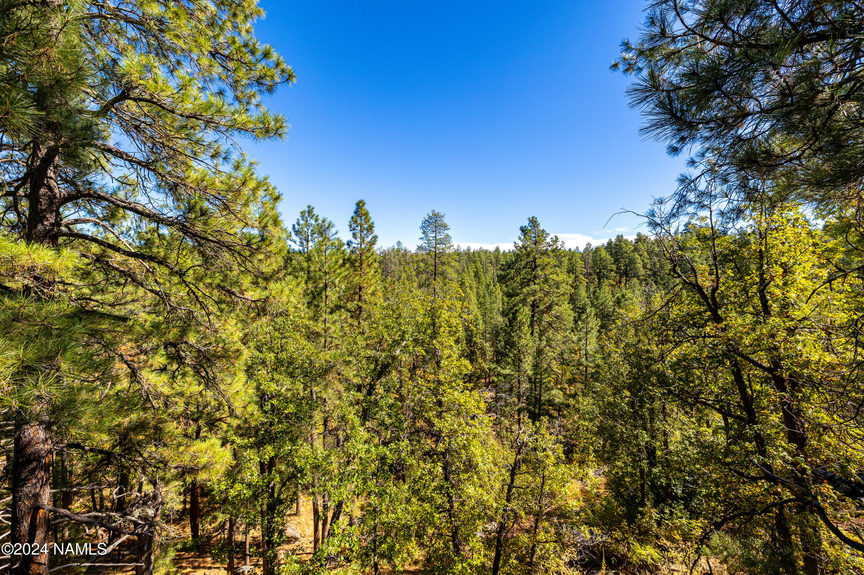 1340 Caribou Road