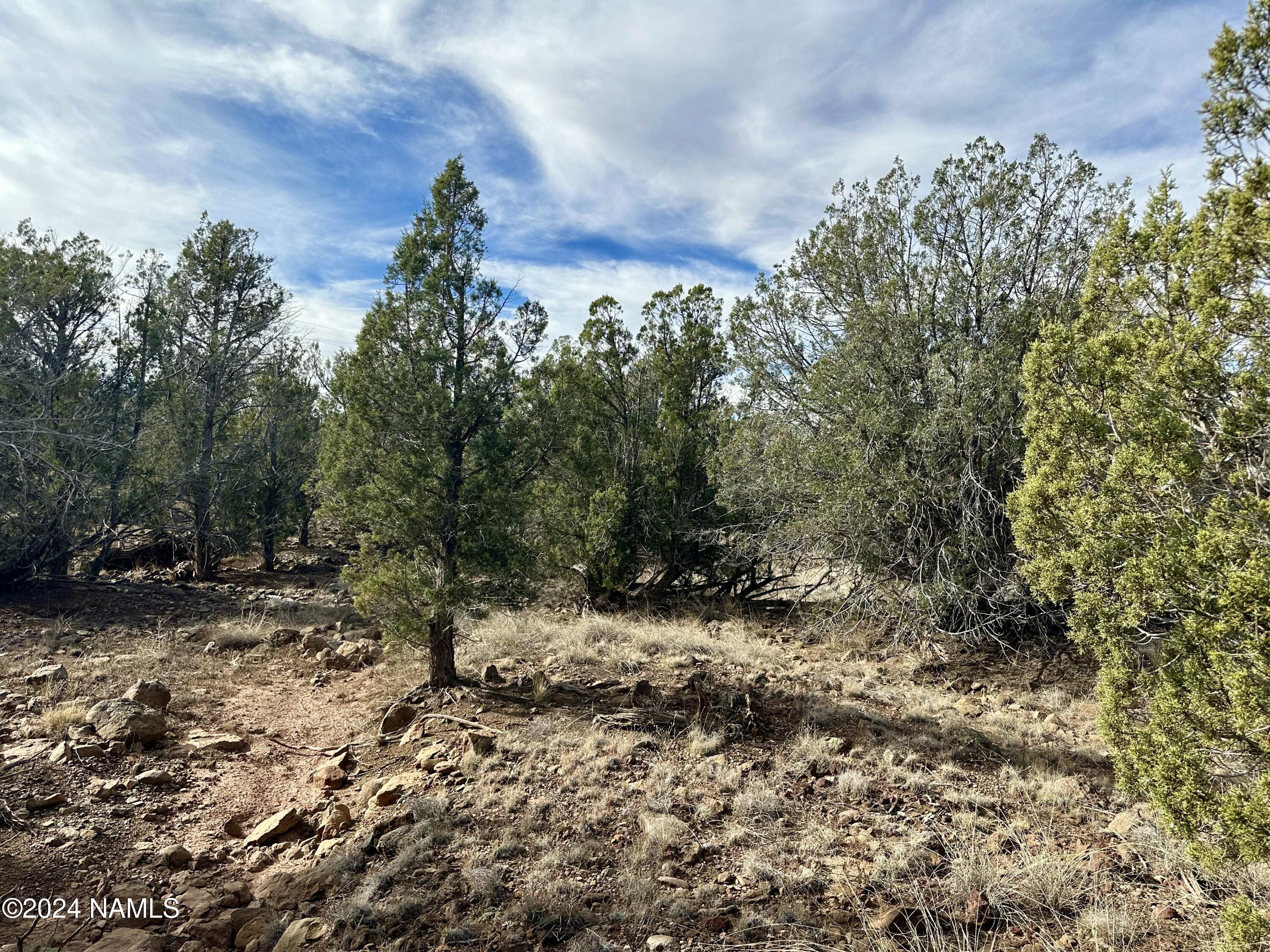 432 W Cienega Drive