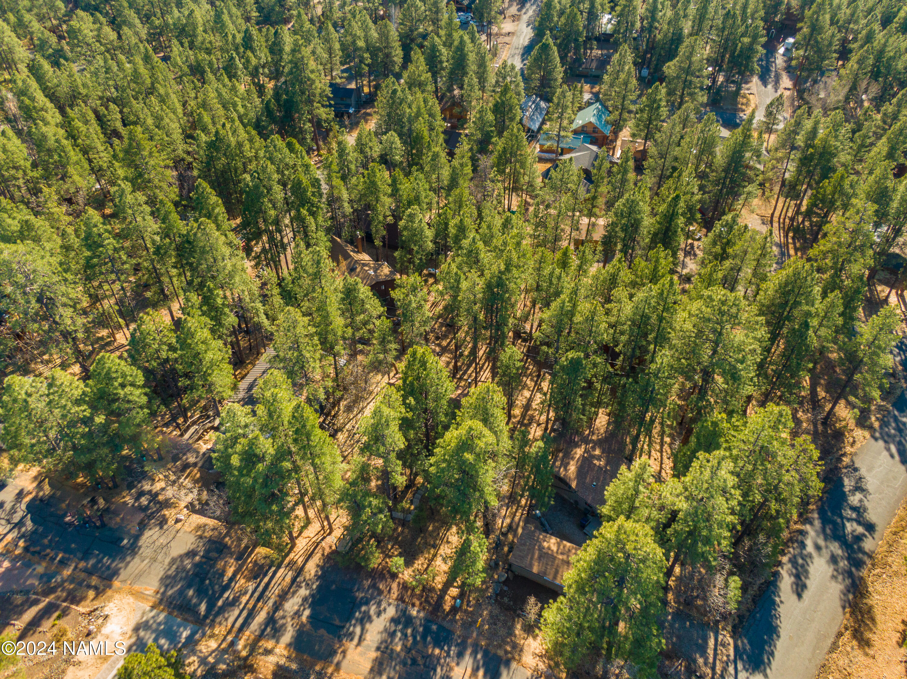 135 W Campfire Trail