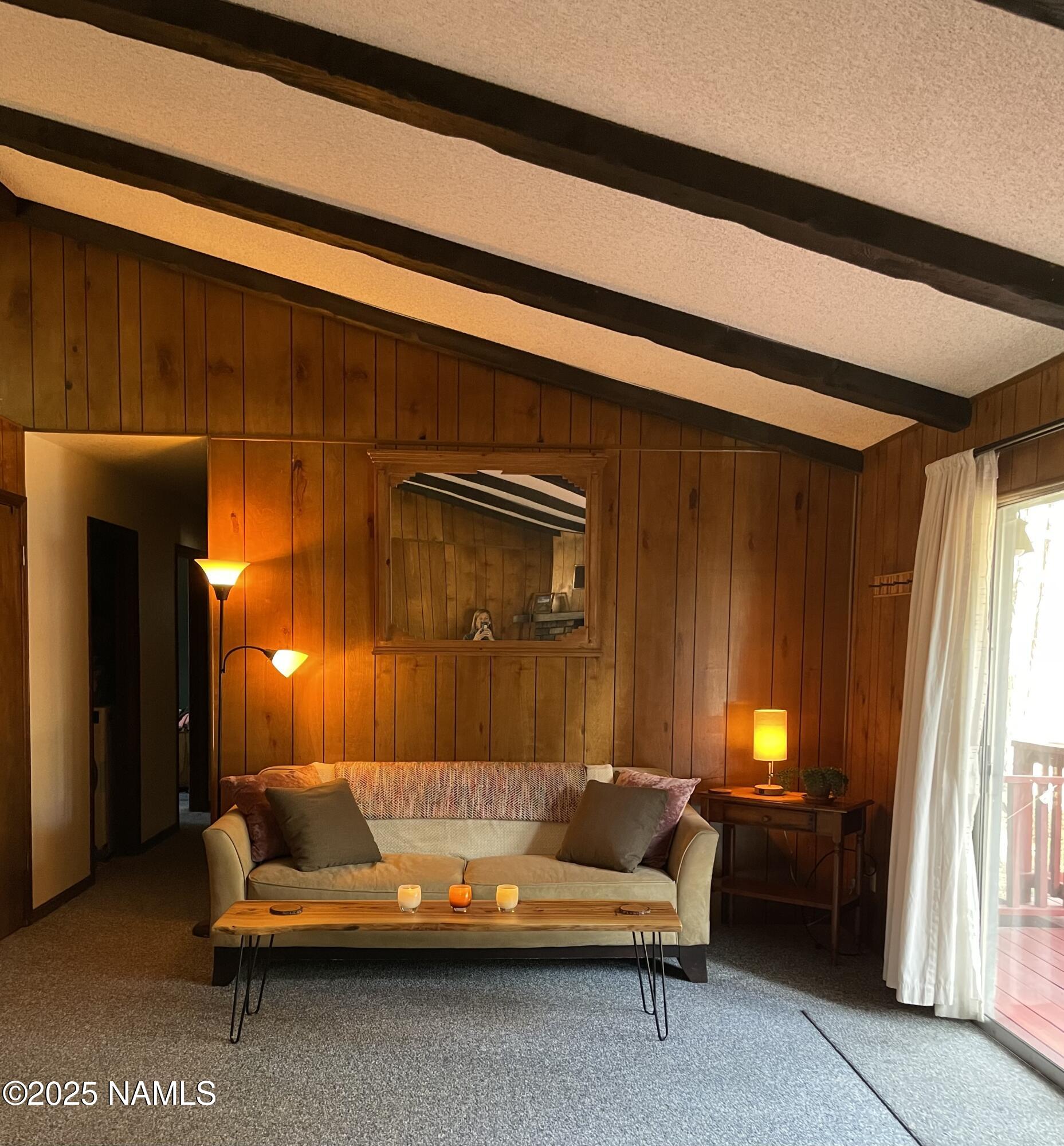 2411 Black Falls Trail