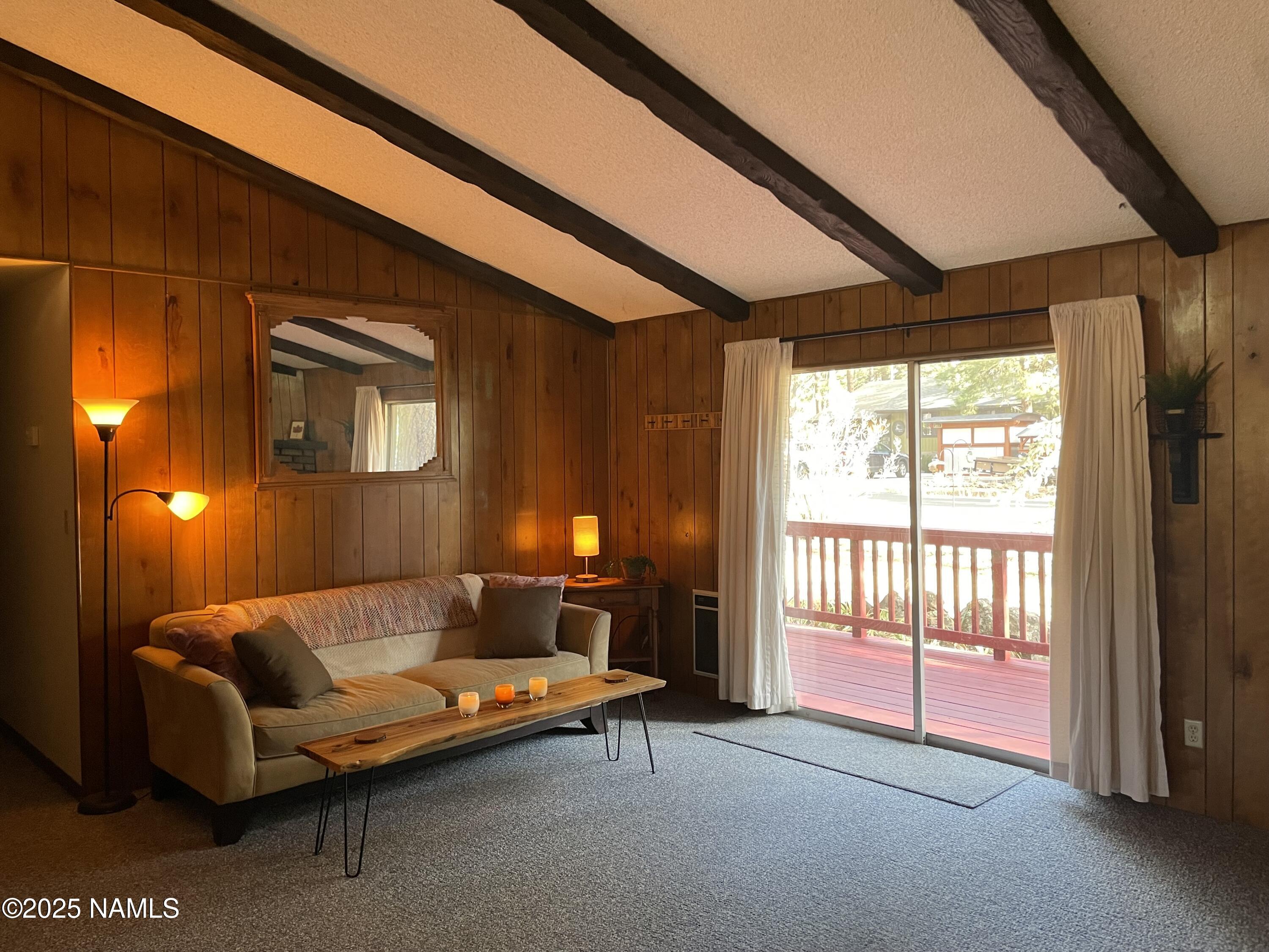 2411 Black Falls Trail