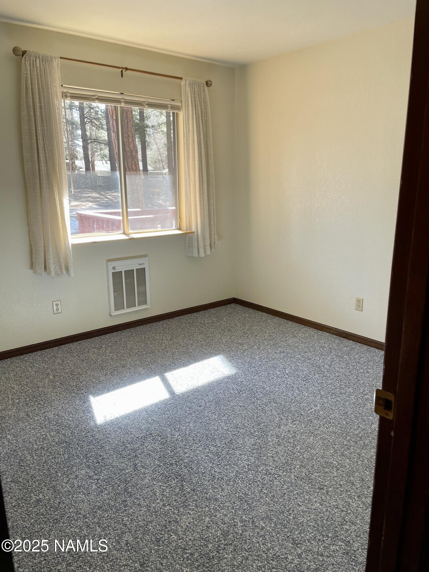 2411 Black Falls Trail