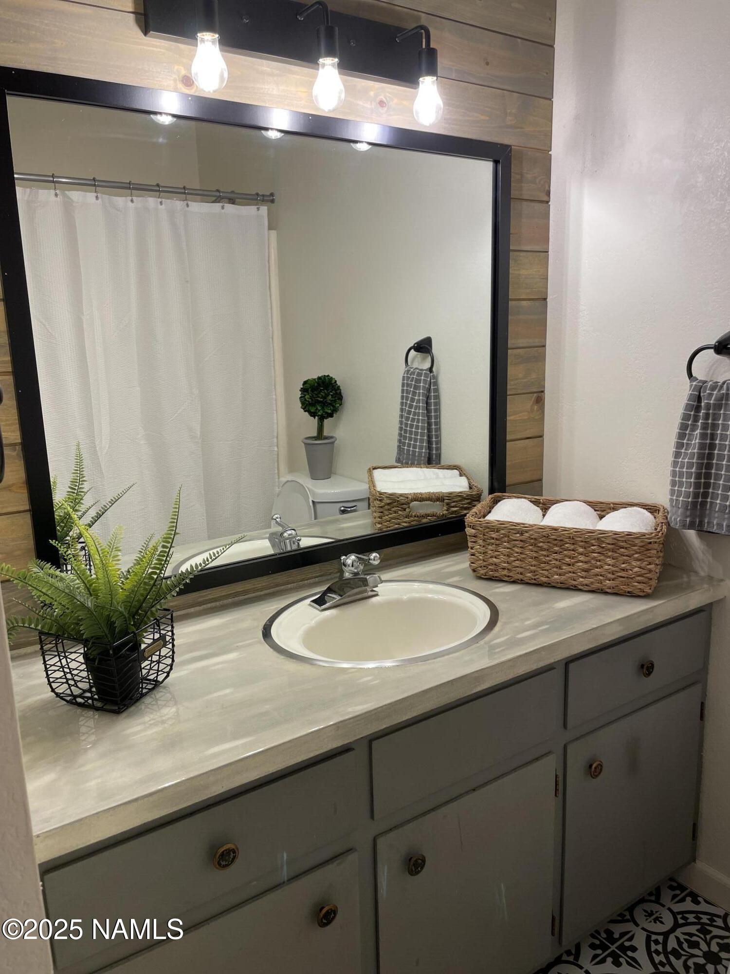 2411 Black Falls Trail