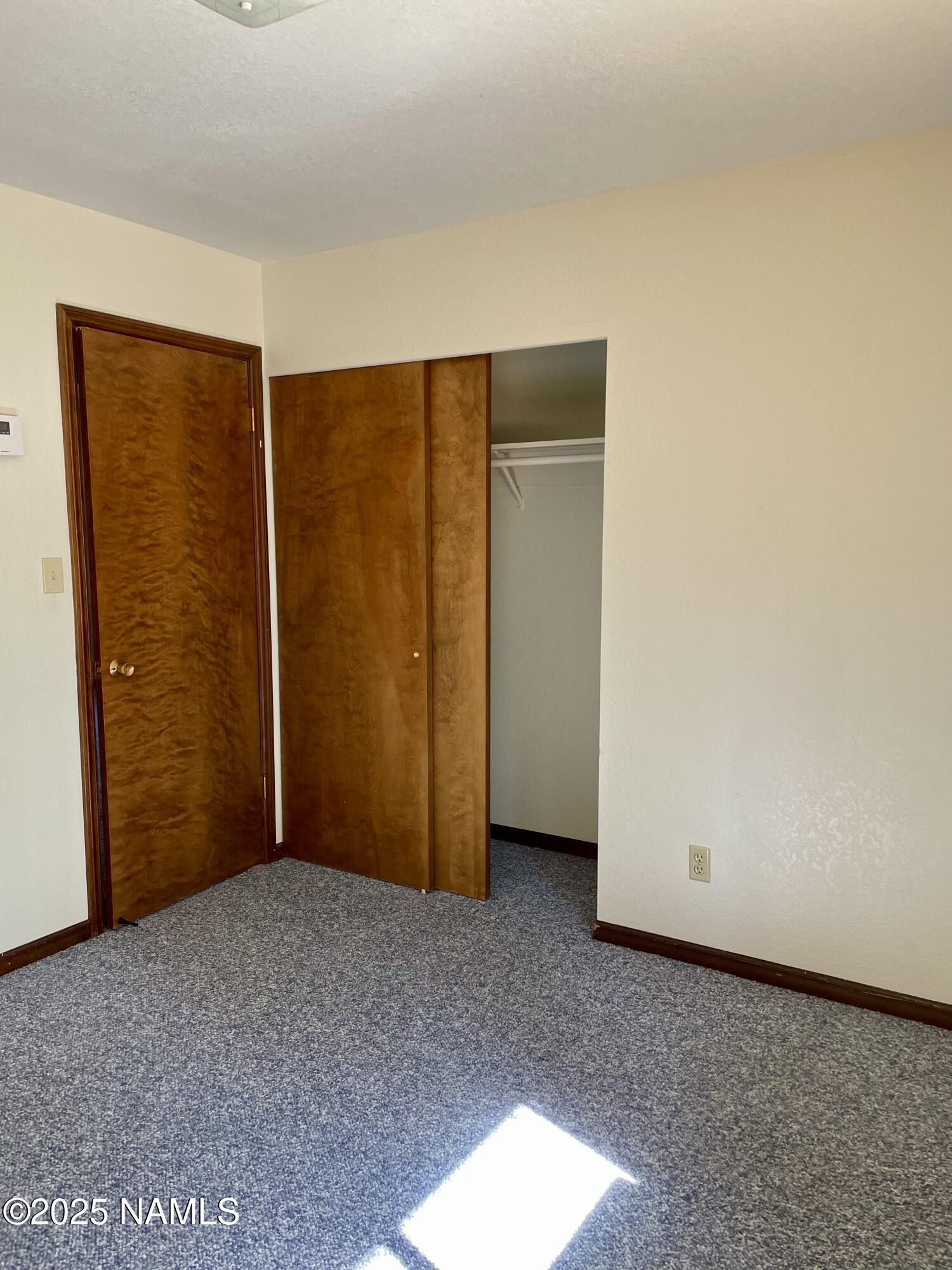 2411 Black Falls Trail