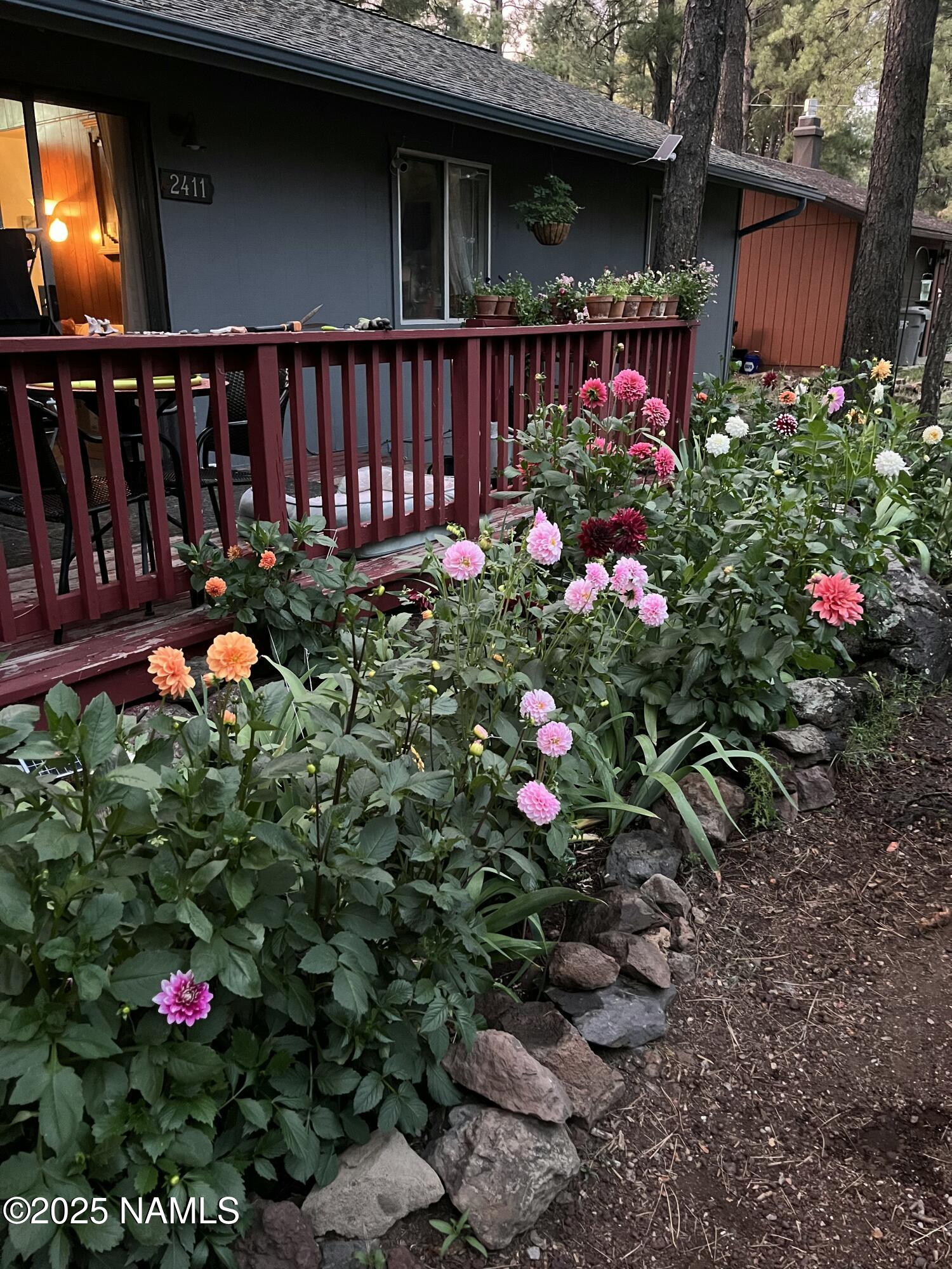2411 Black Falls Trail
