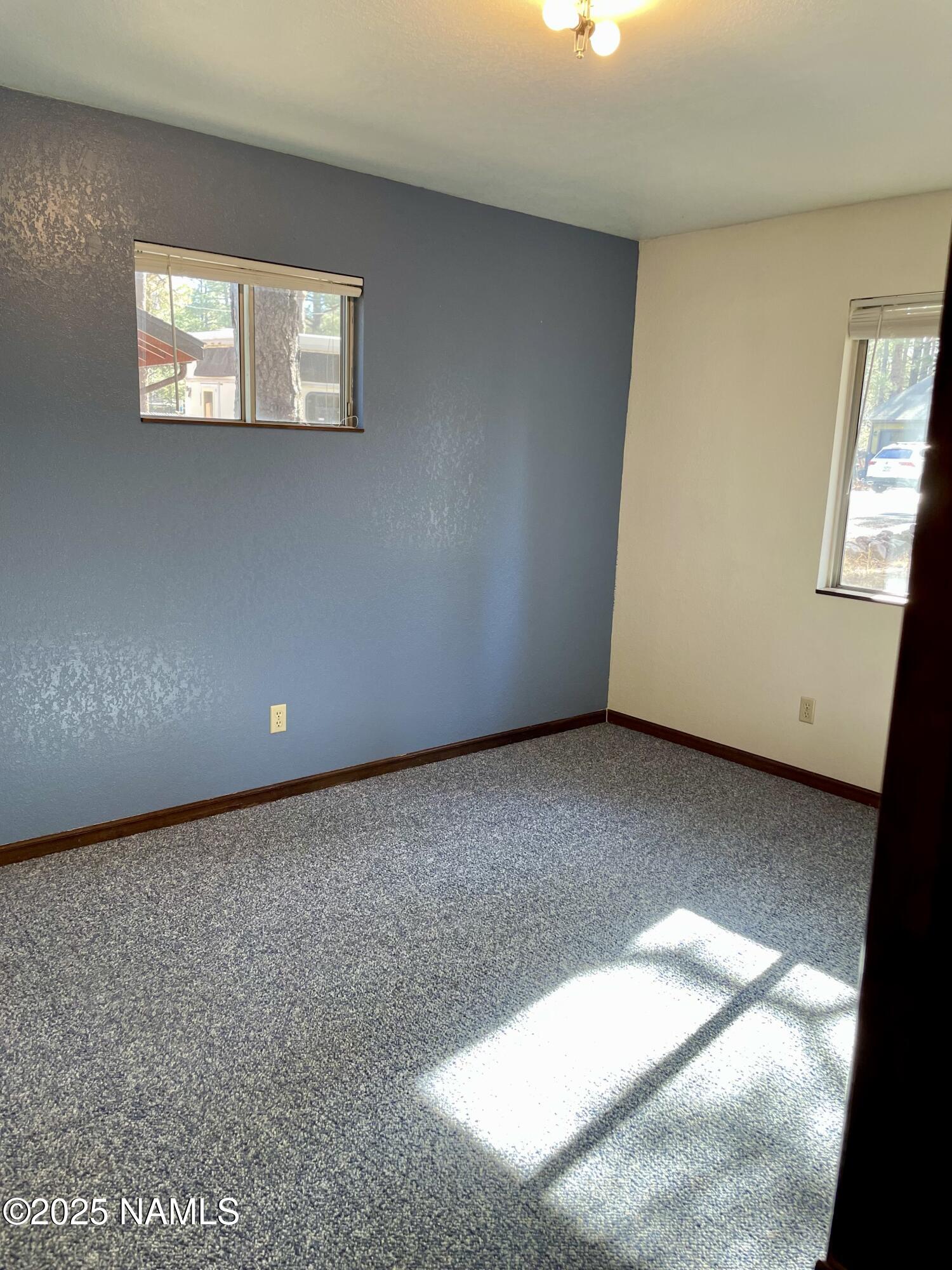 2411 Black Falls Trail