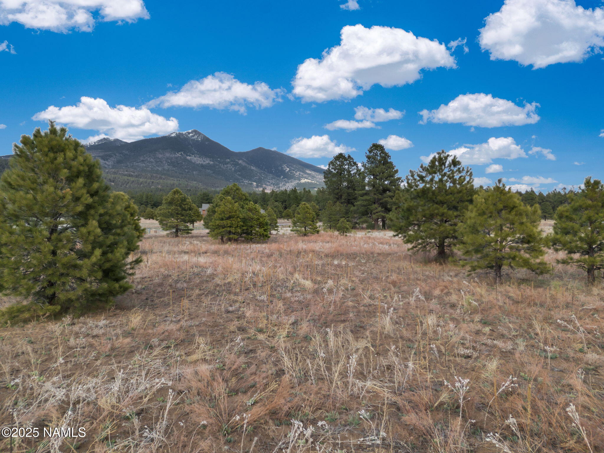 9025 N Snowbowl Ranch Road