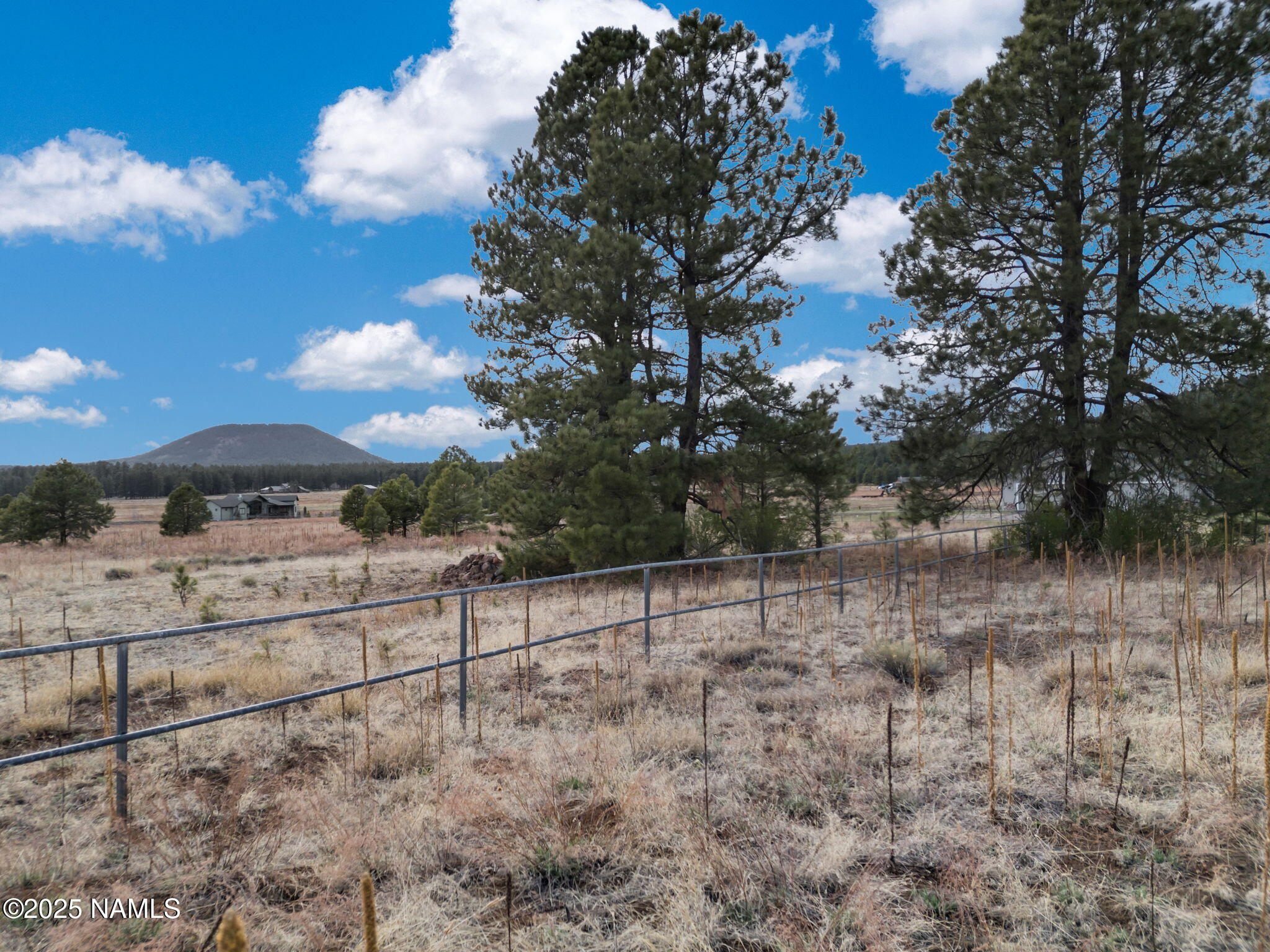 9025 N Snowbowl Ranch Road