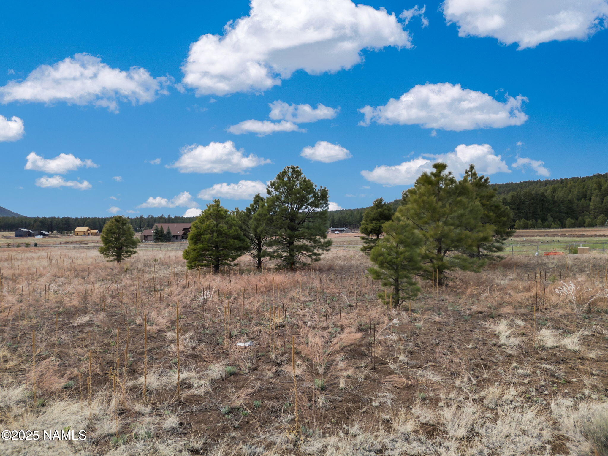 9025 N Snowbowl Ranch Road