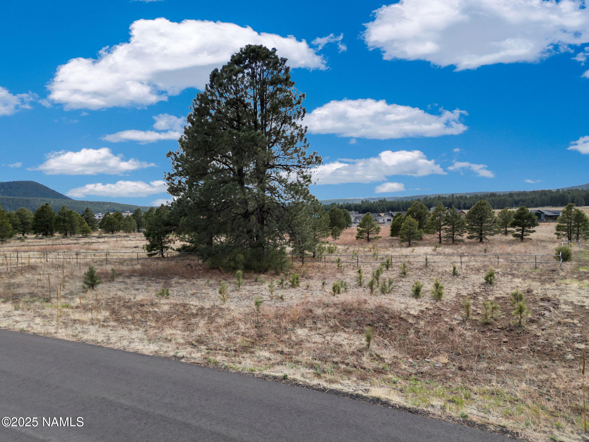 9025 N Snowbowl Ranch Road