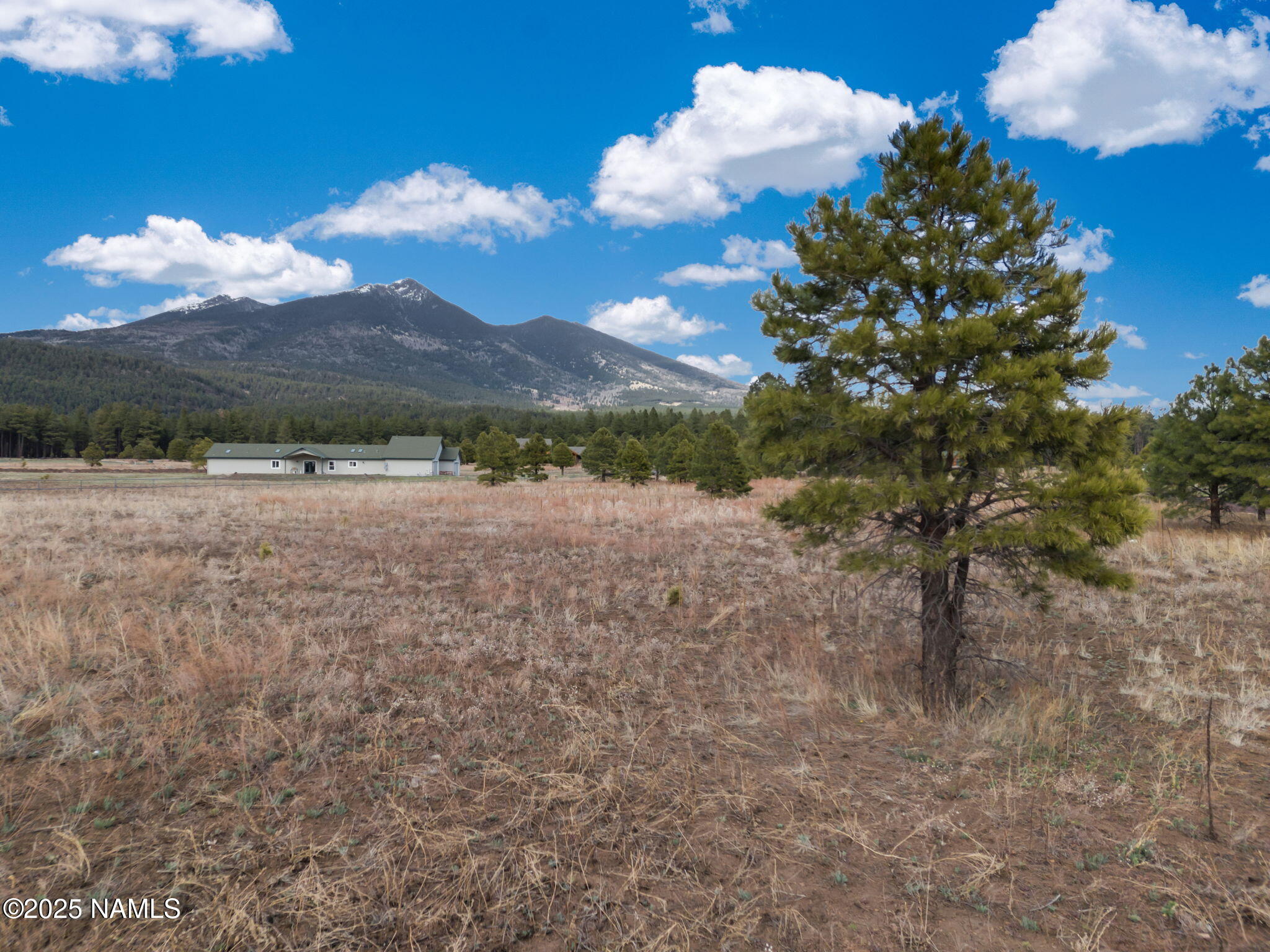 9025 N Snowbowl Ranch Road