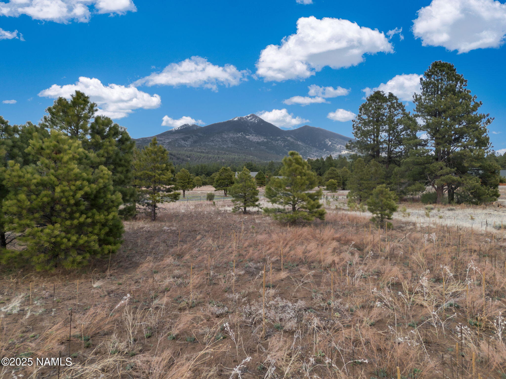 9025 N Snowbowl Ranch Road