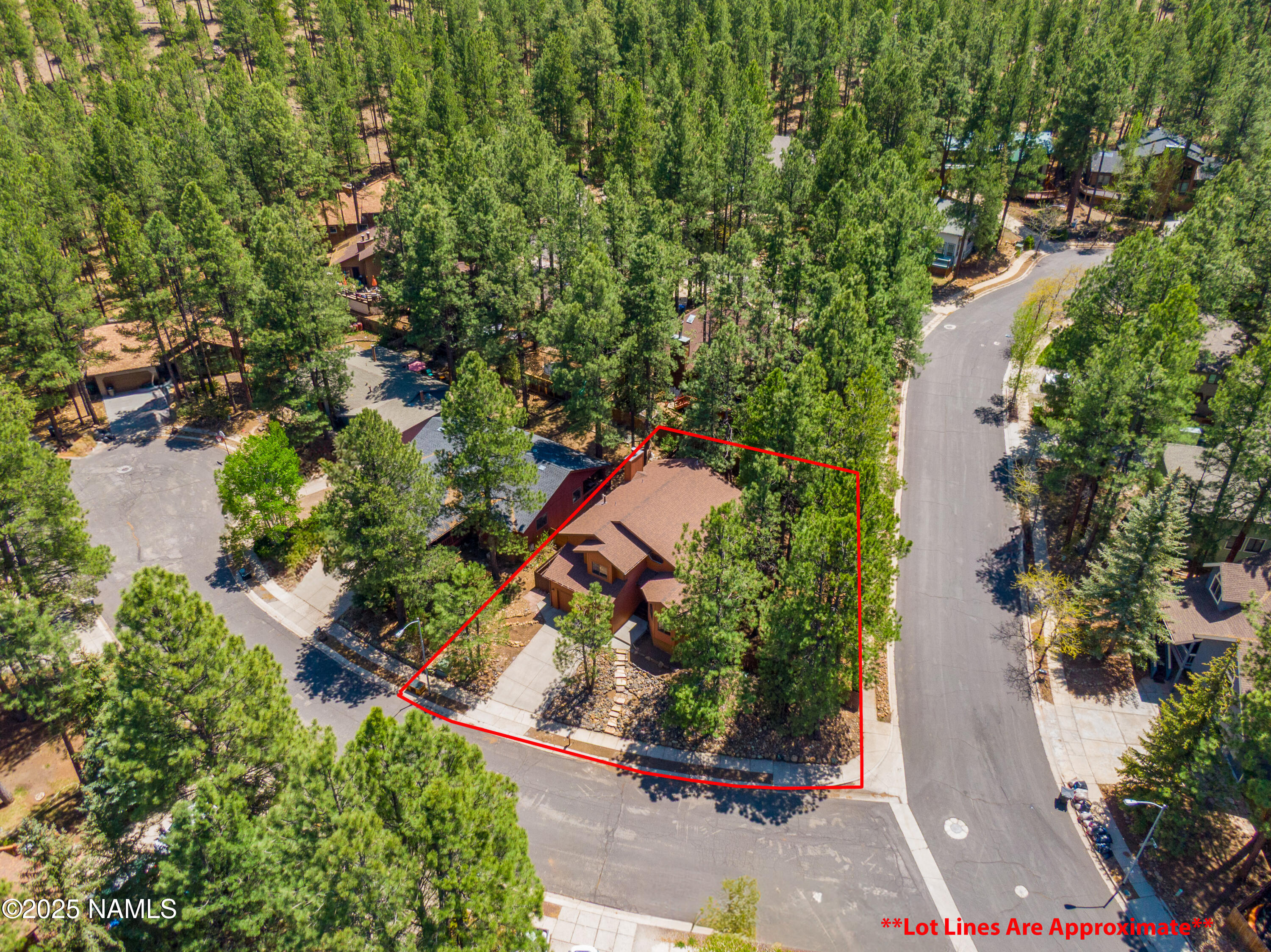 3145 Tami Lane
