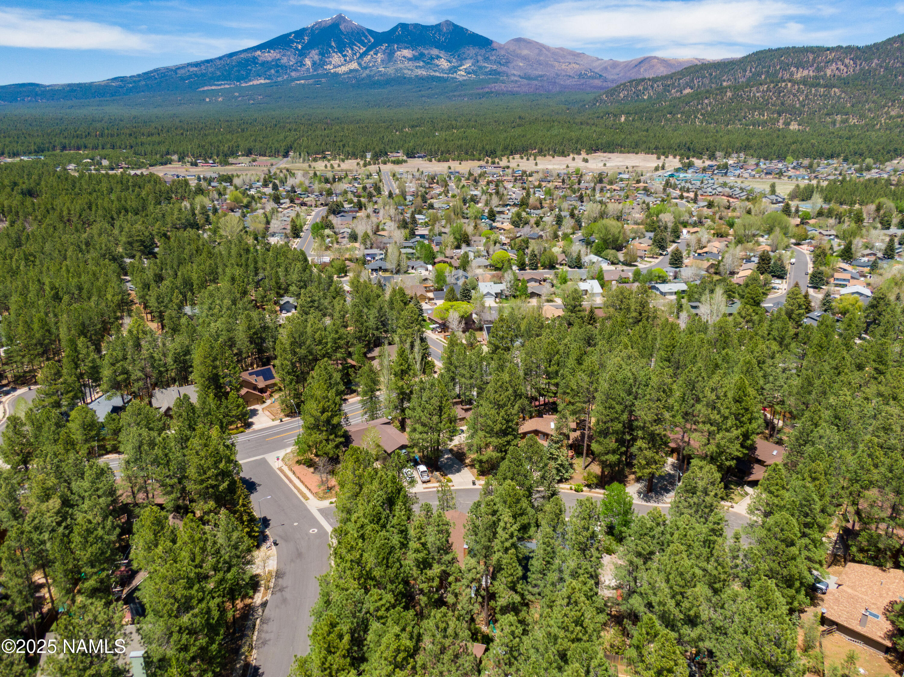 3145 Tami Lane