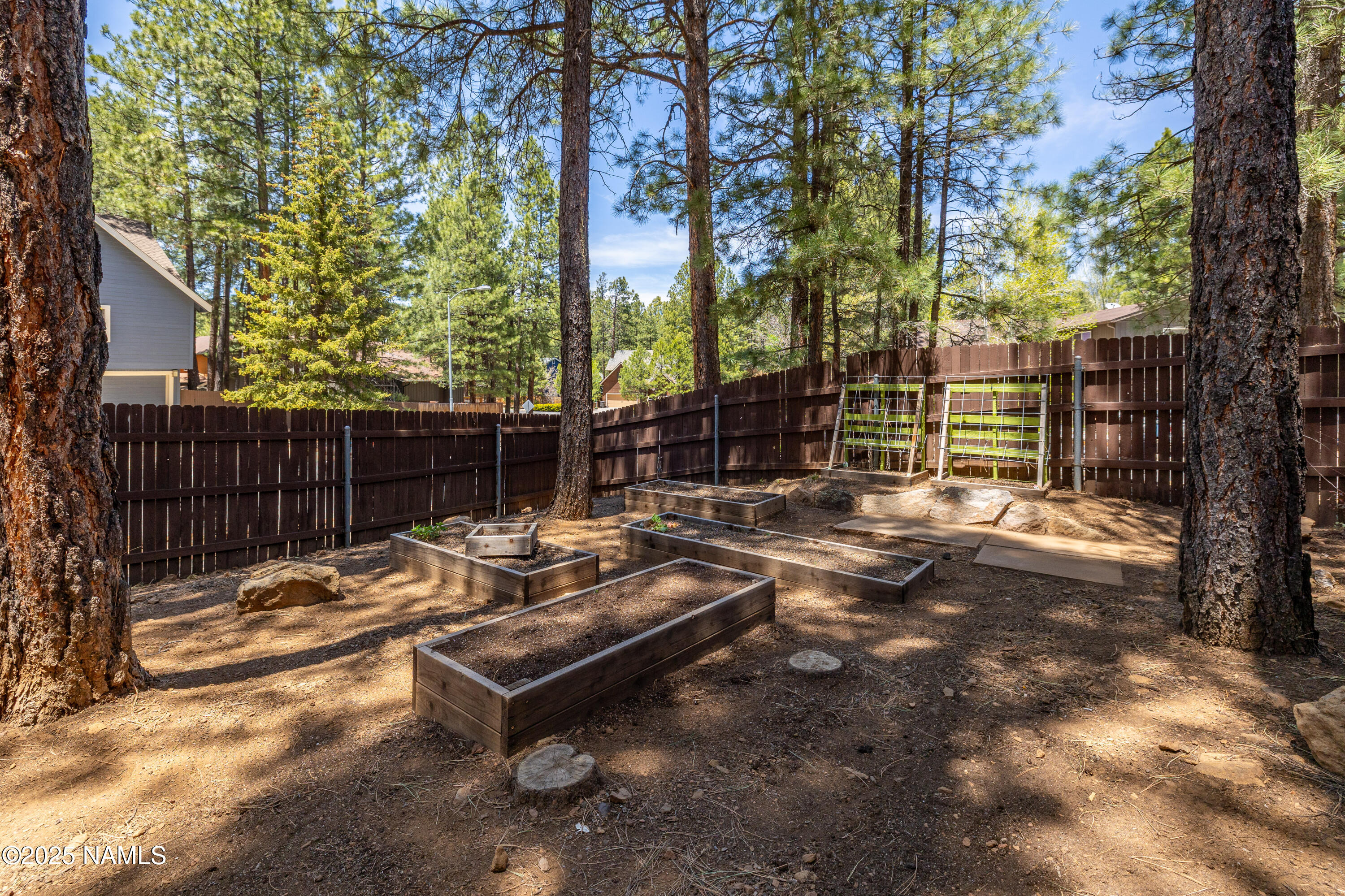 3145 Tami Lane