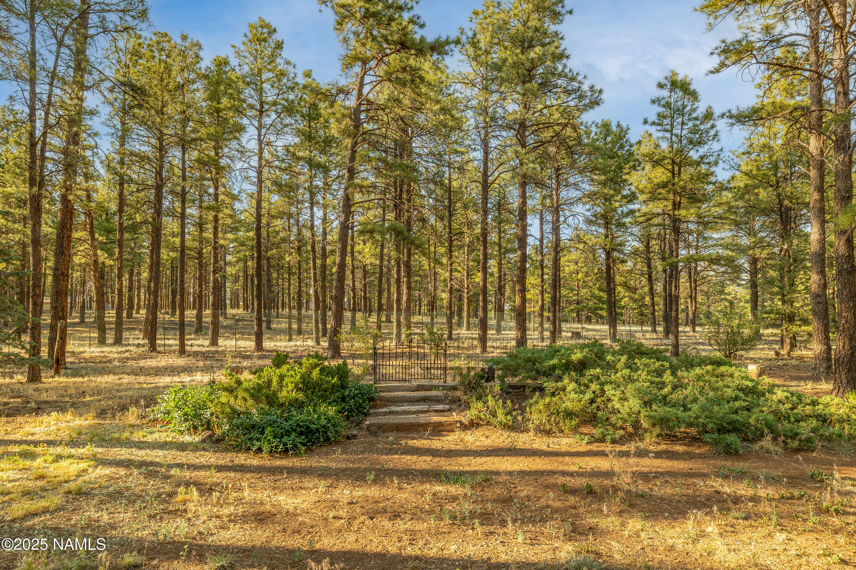 7780 Pine Country Lane