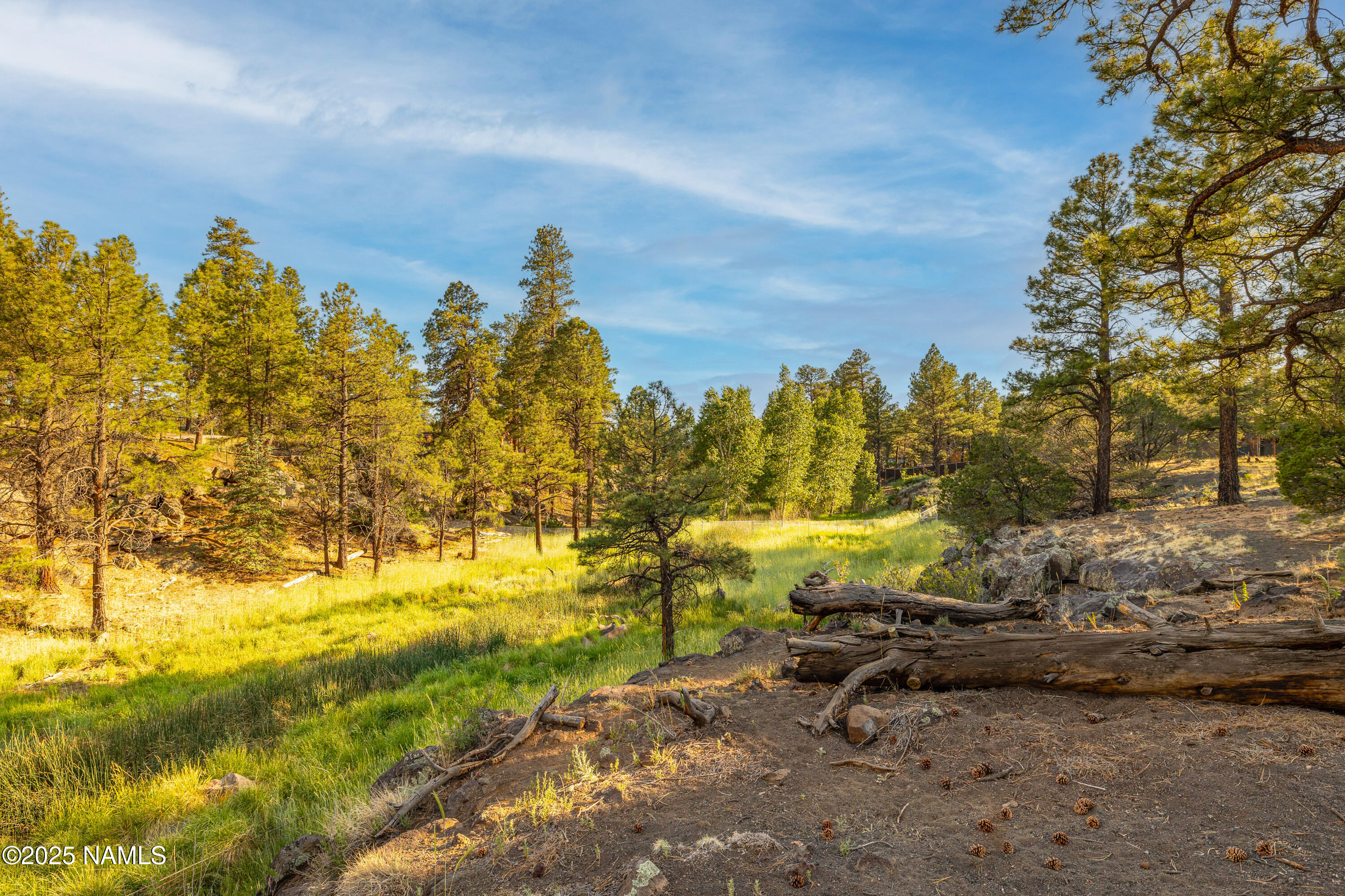 7780 Pine Country Lane