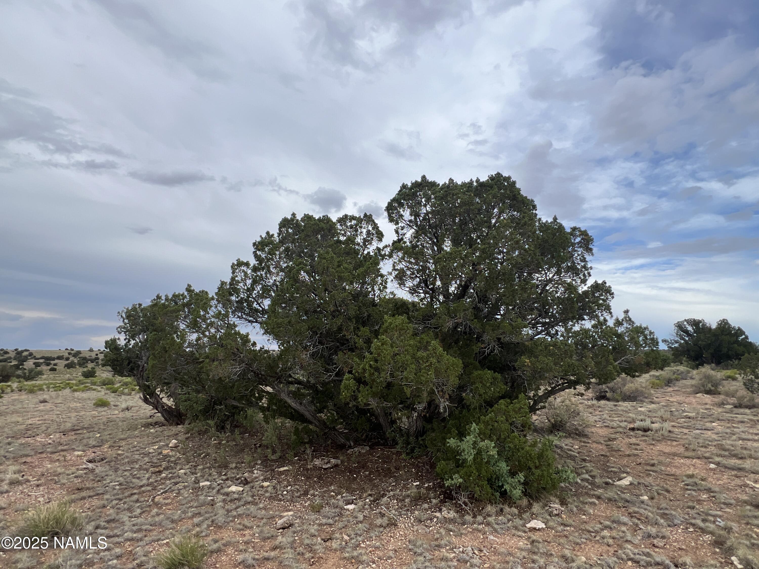 4842 S Starlit - Lot A Trail