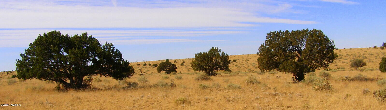 4842 S Starlit - Lot A Trail