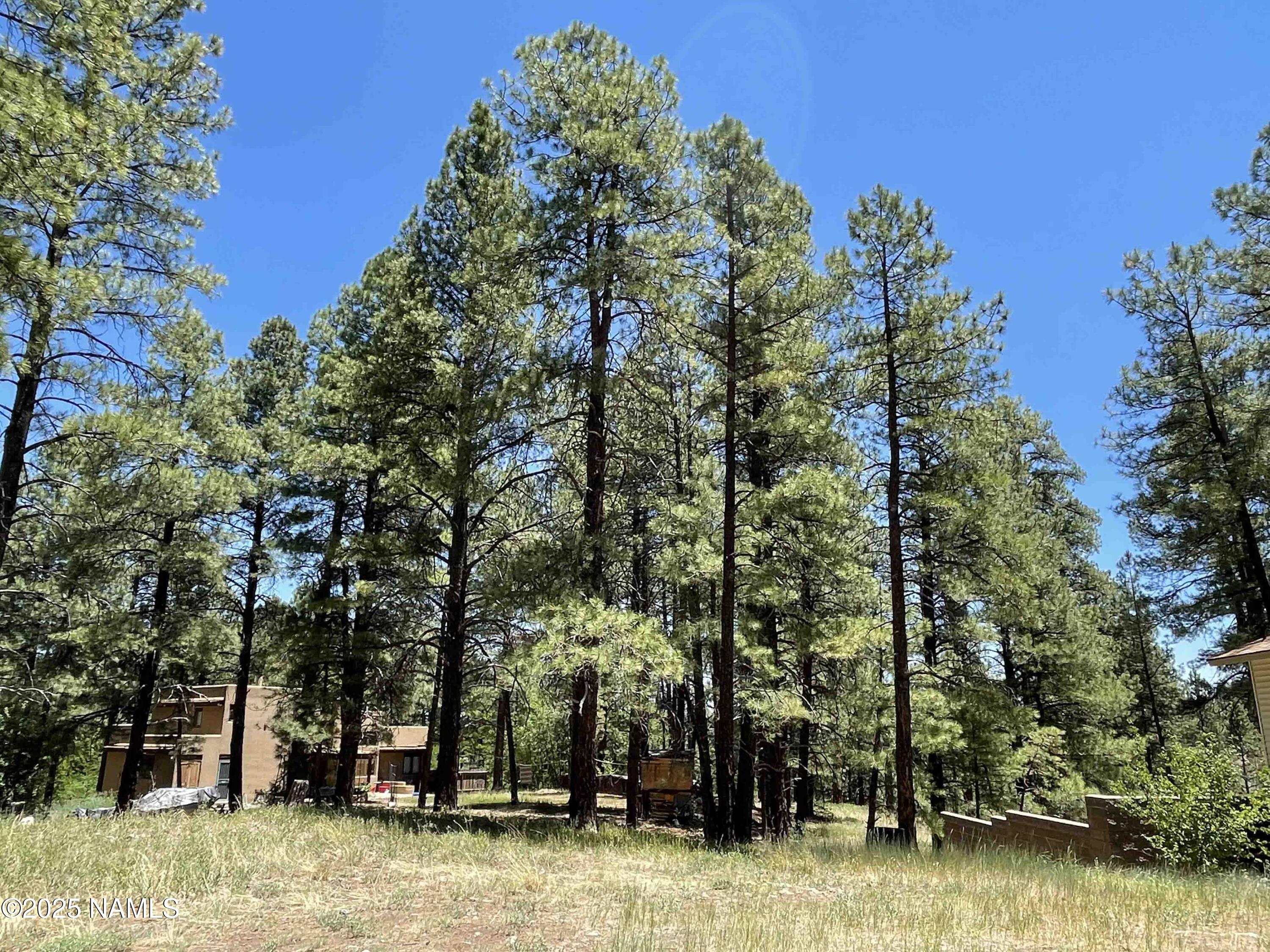 837 W Coy Drive