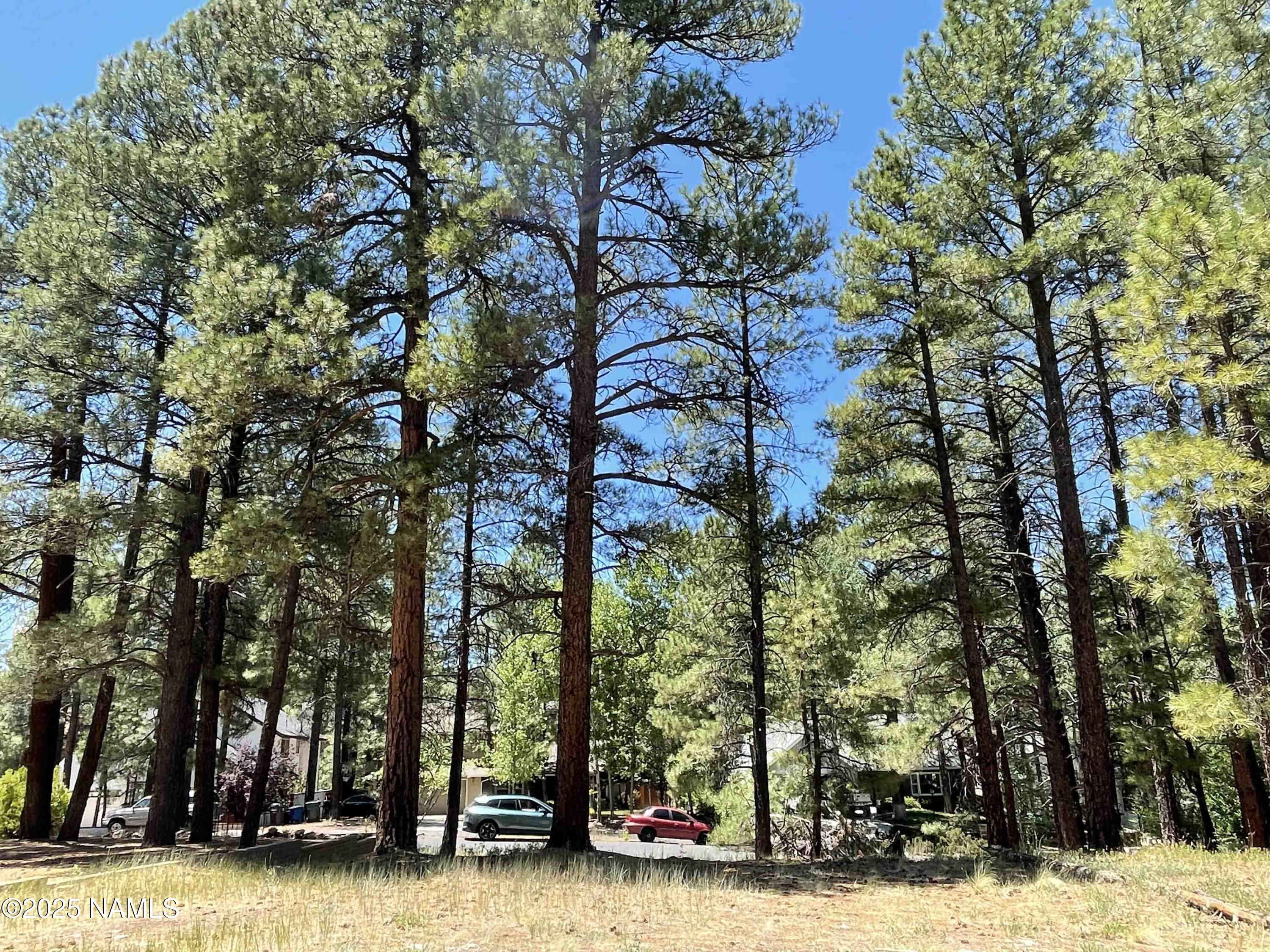 837 W Coy Drive