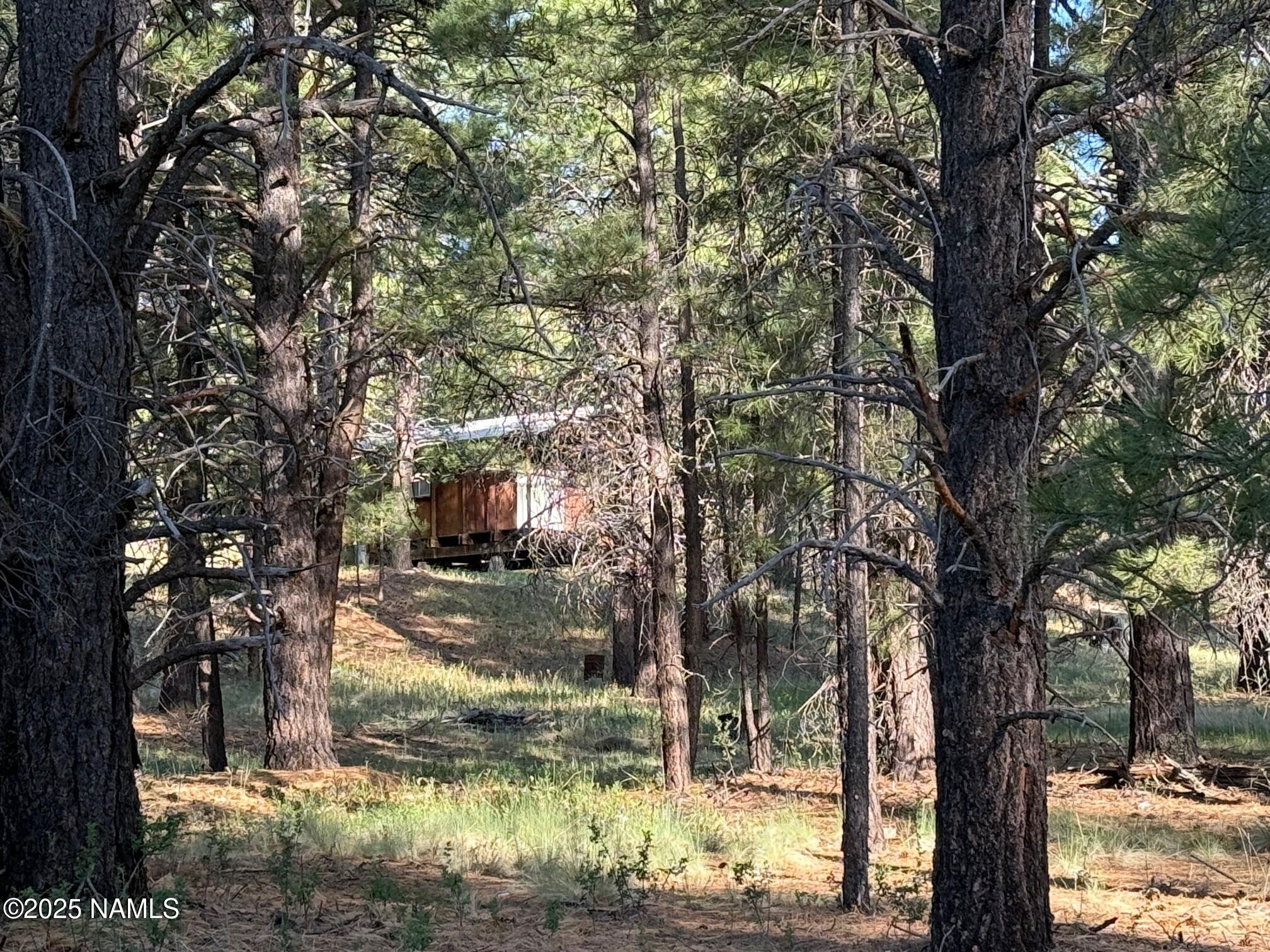 5770 White Tail Lane
