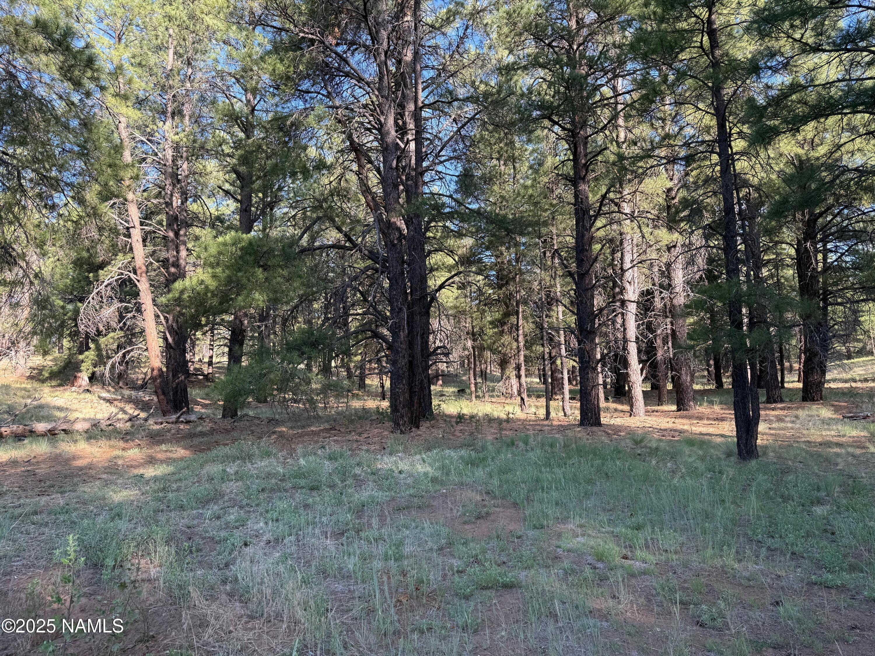 5800 White Tail Lane