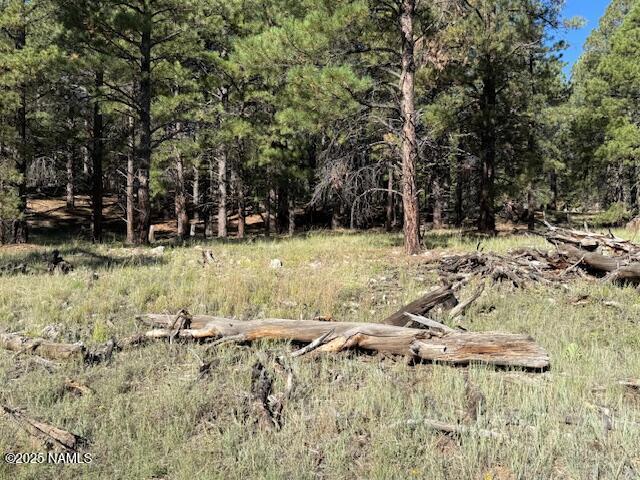 5800 White Tail Lane