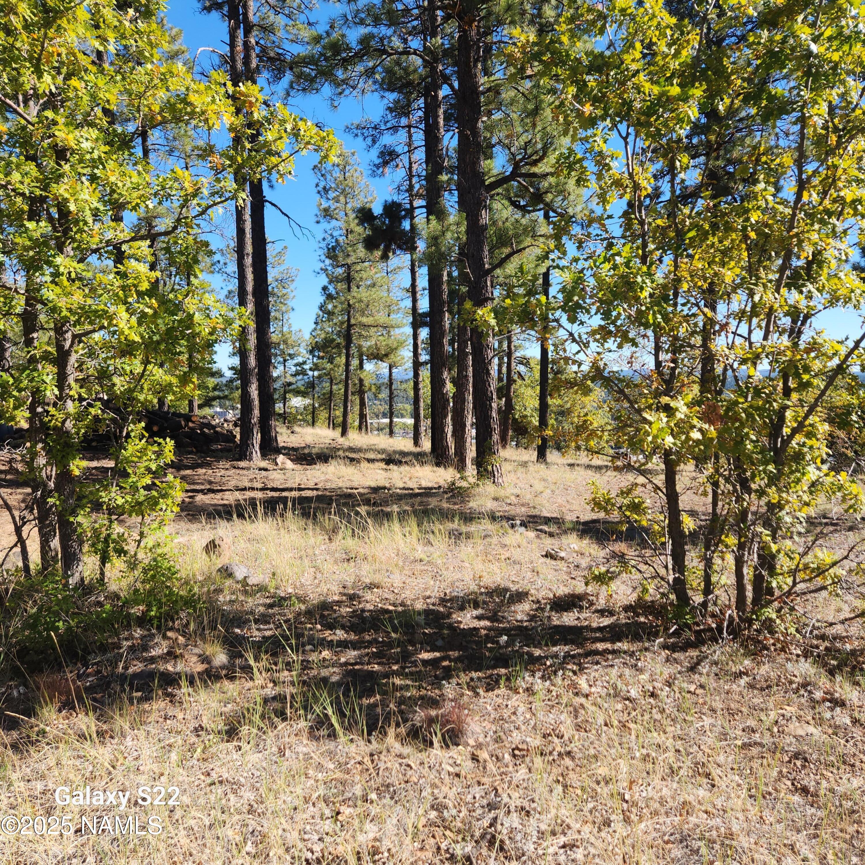 1564 W Lower Coconino Avenue