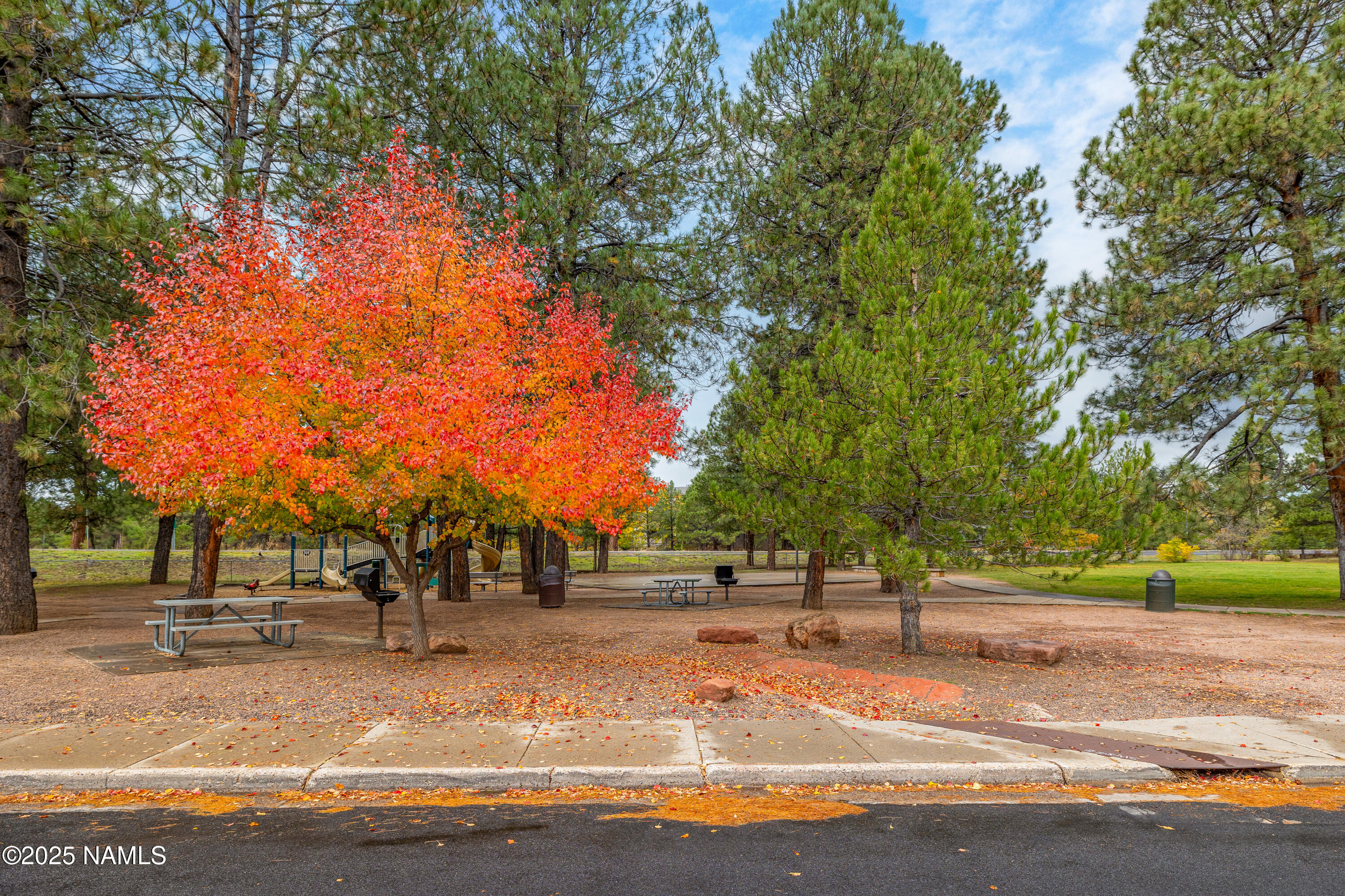 3602 S Cochise Drive
