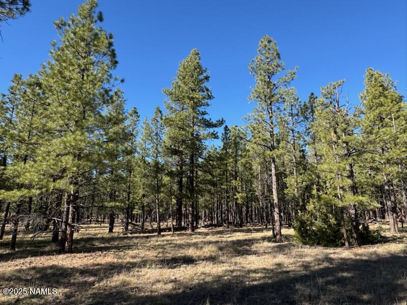 Lot 3l N Quintana Drive