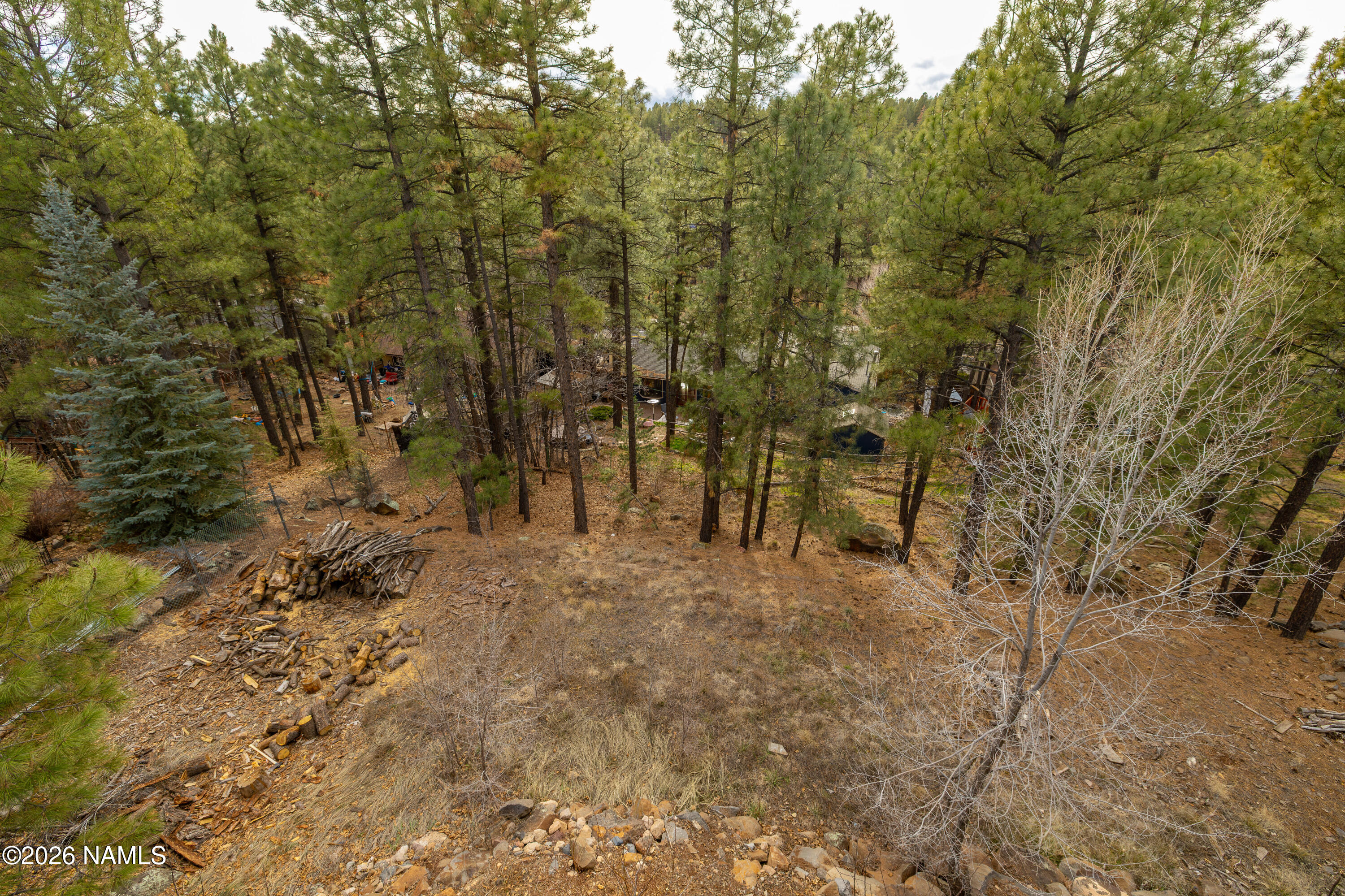 795 E Ponderosa Parkway