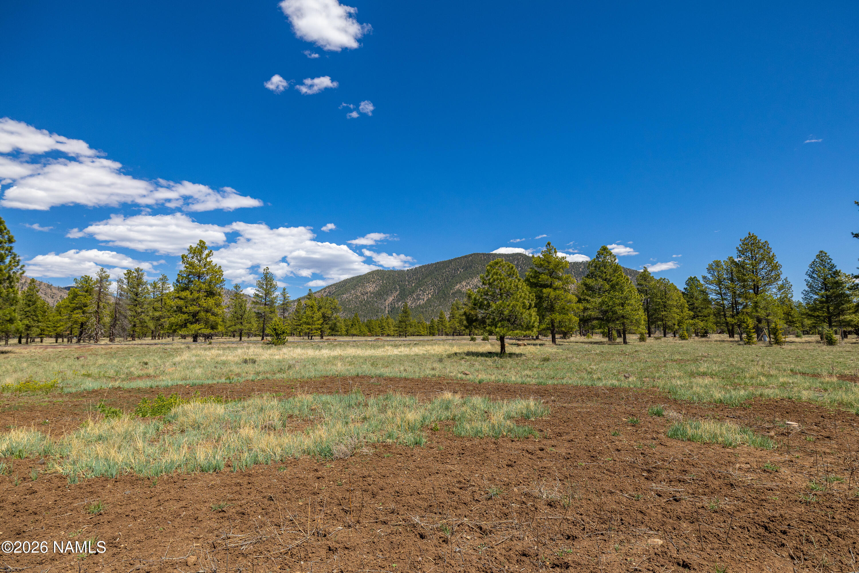 3689 Cione Ranch Road