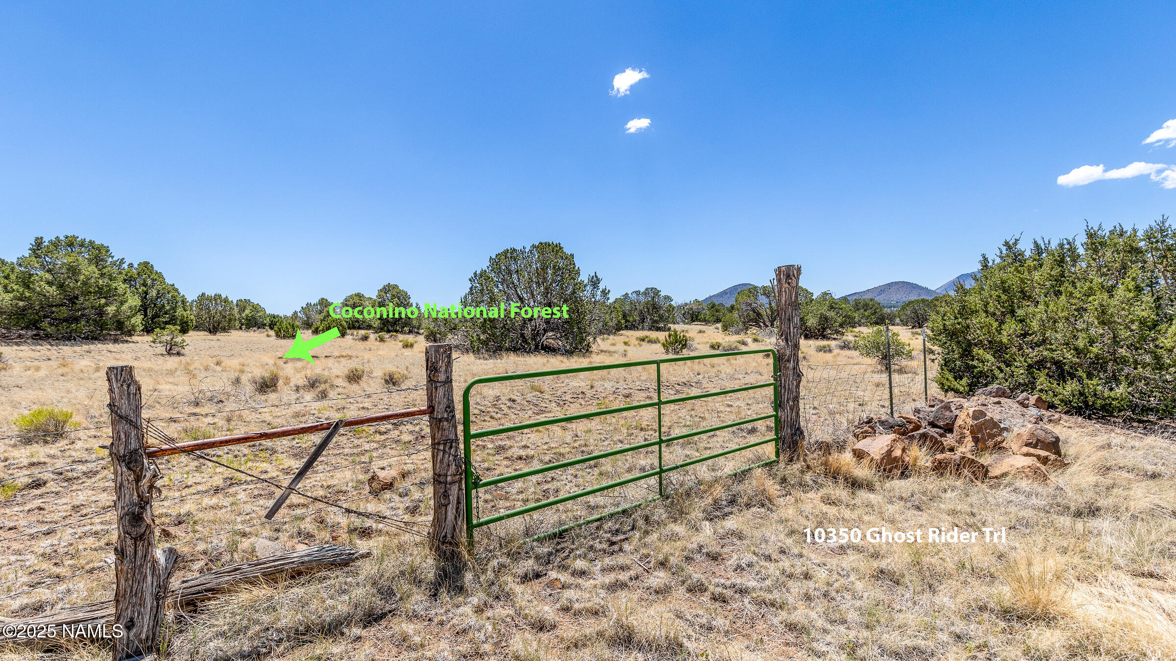 10350 Ghost Rider Trail