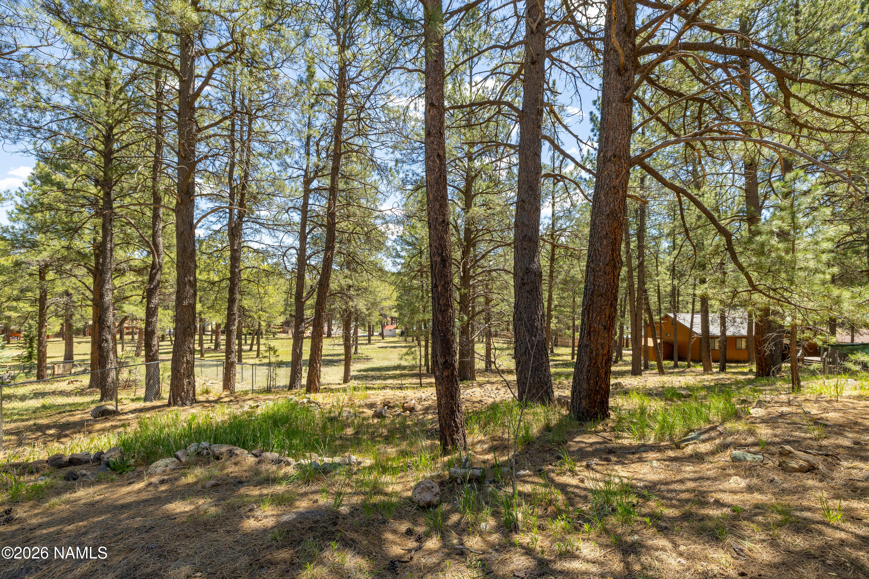 4511 Canyon Loop