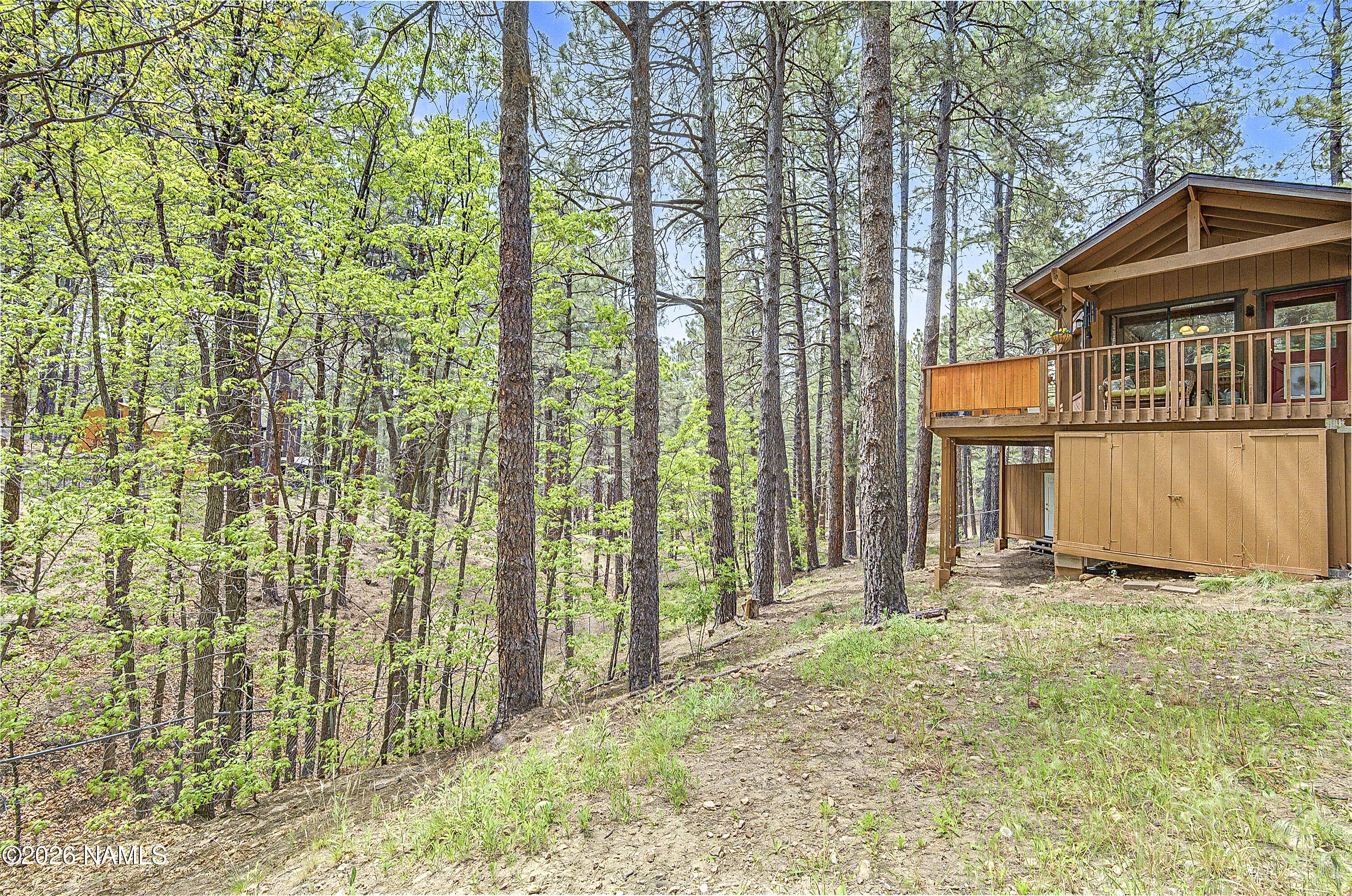 2804 Bird Springs Ovi