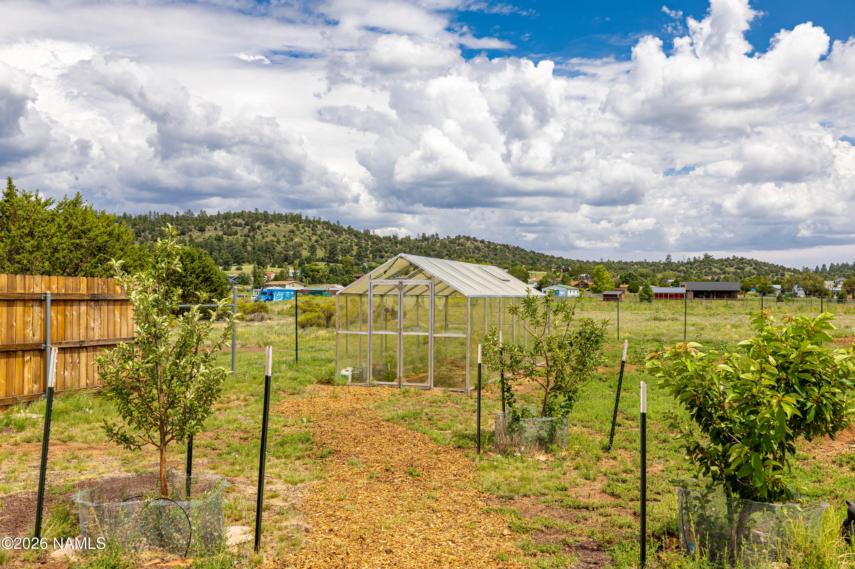 8195 Lookout View Trail