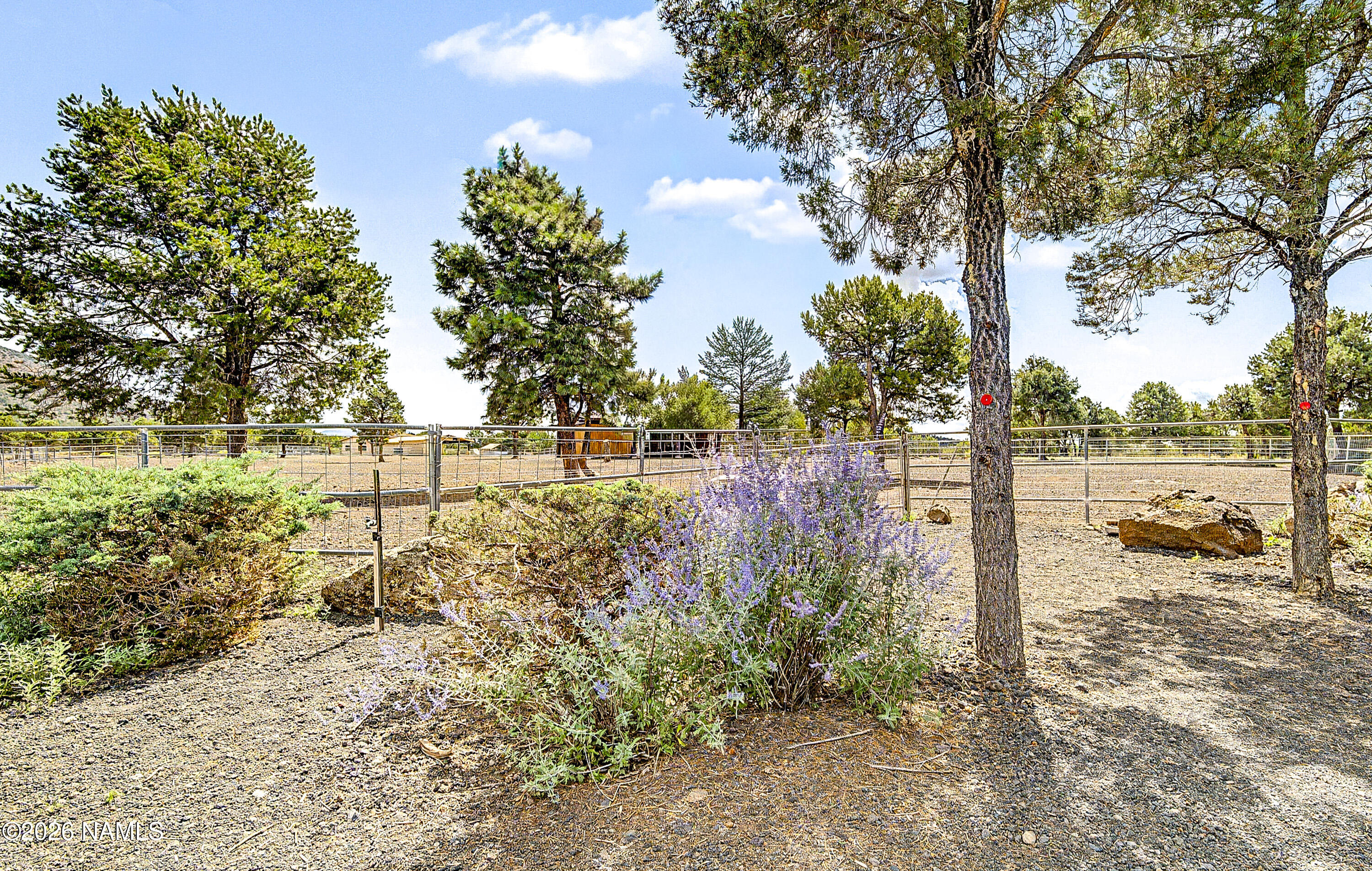 9665 N Stagecoach Drive