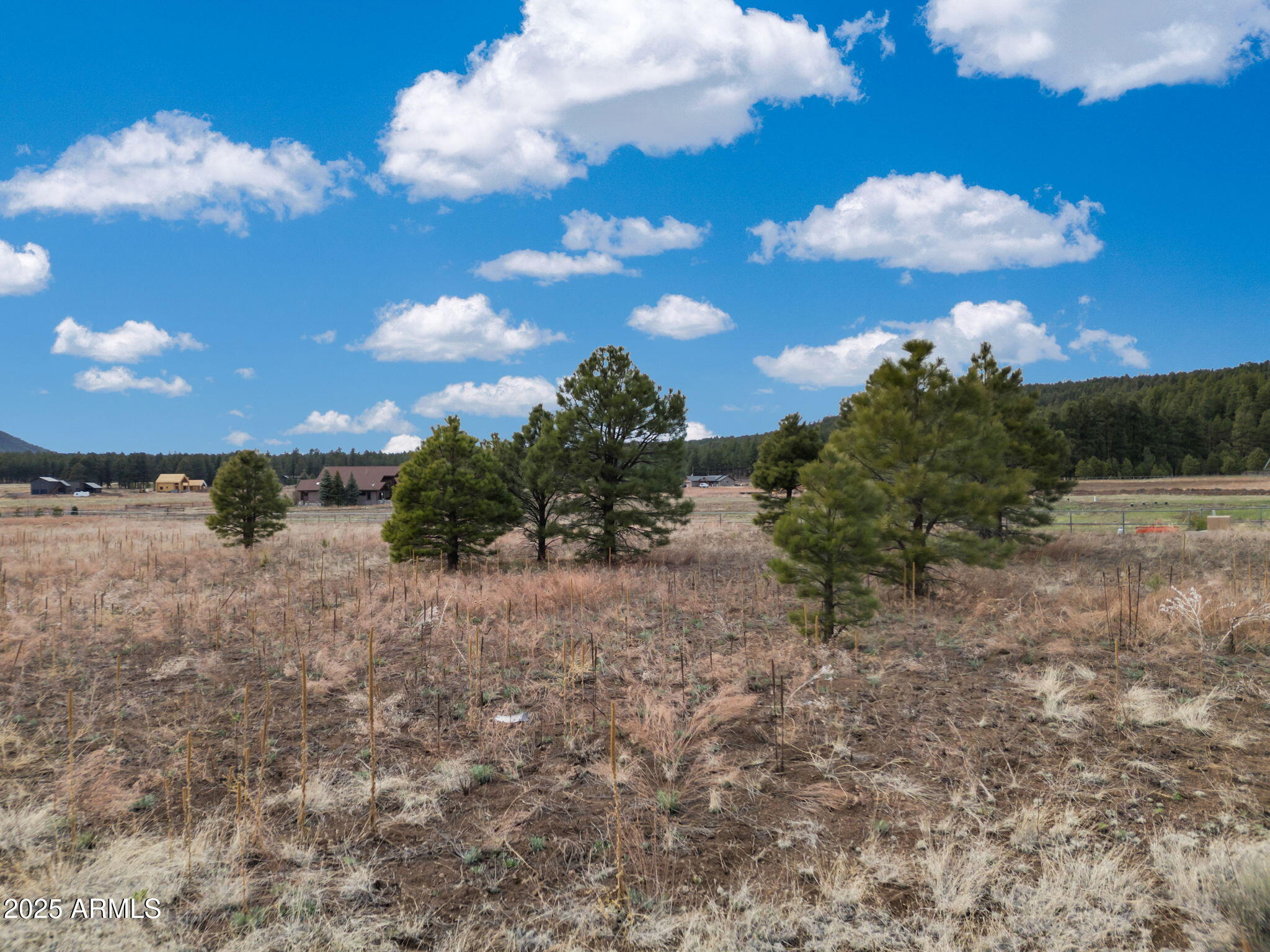 9025 N Snowbowl Ranch Road 5