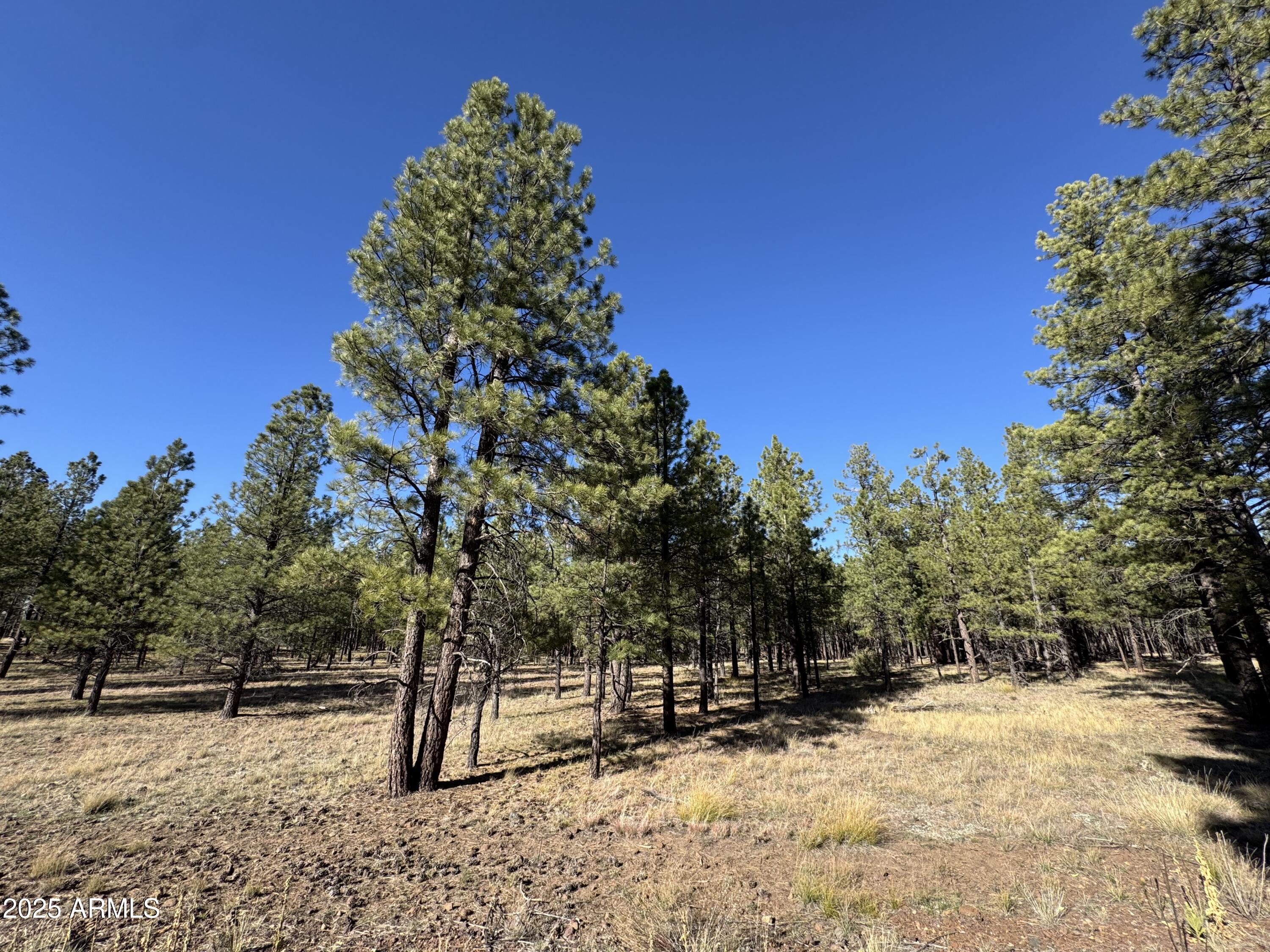 Lot 3L N Quintana Drive -