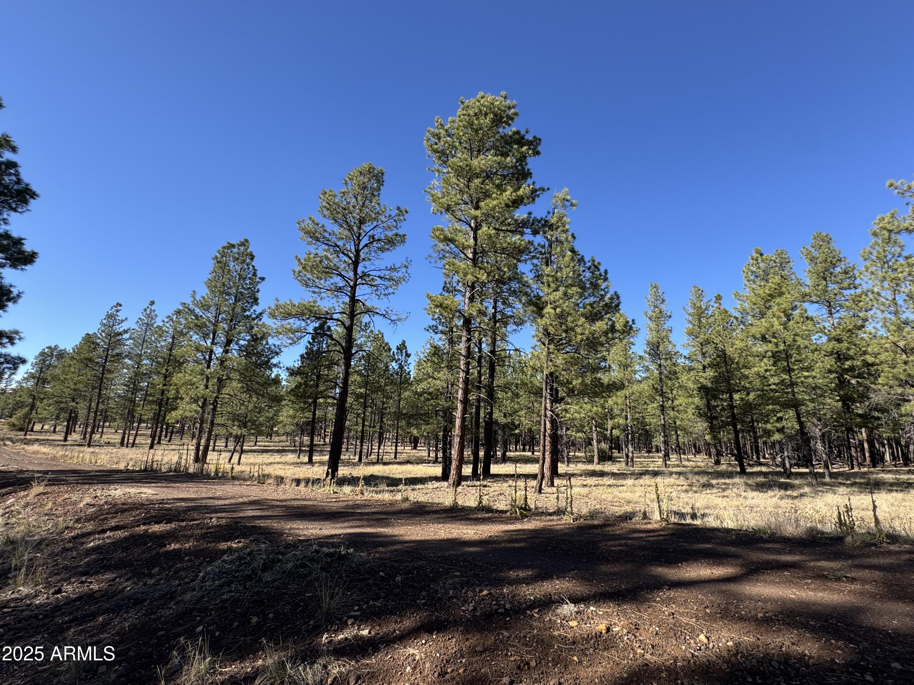 Lot 3L N Quintana Drive -