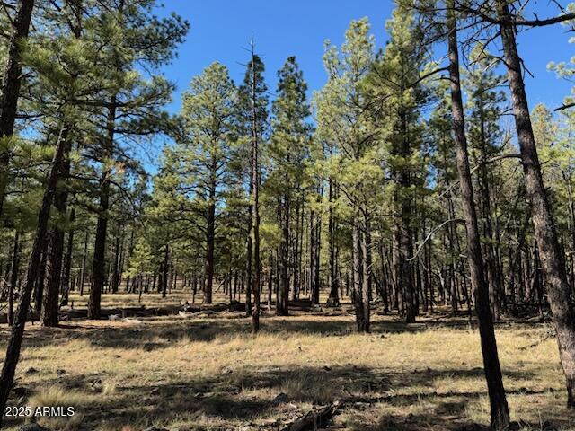Lot 3L N Quintana Drive -