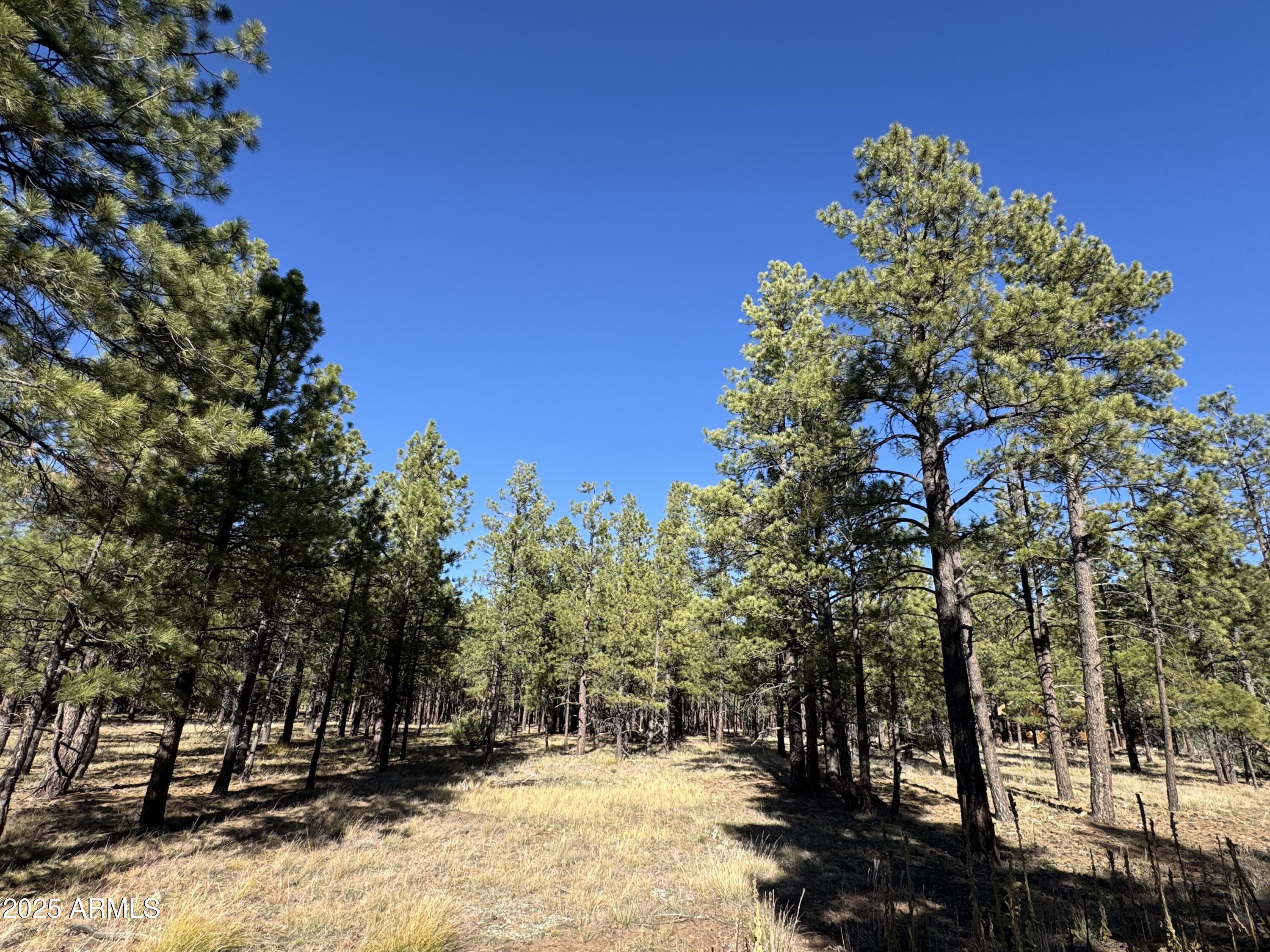 Lot 3L N Quintana Drive -