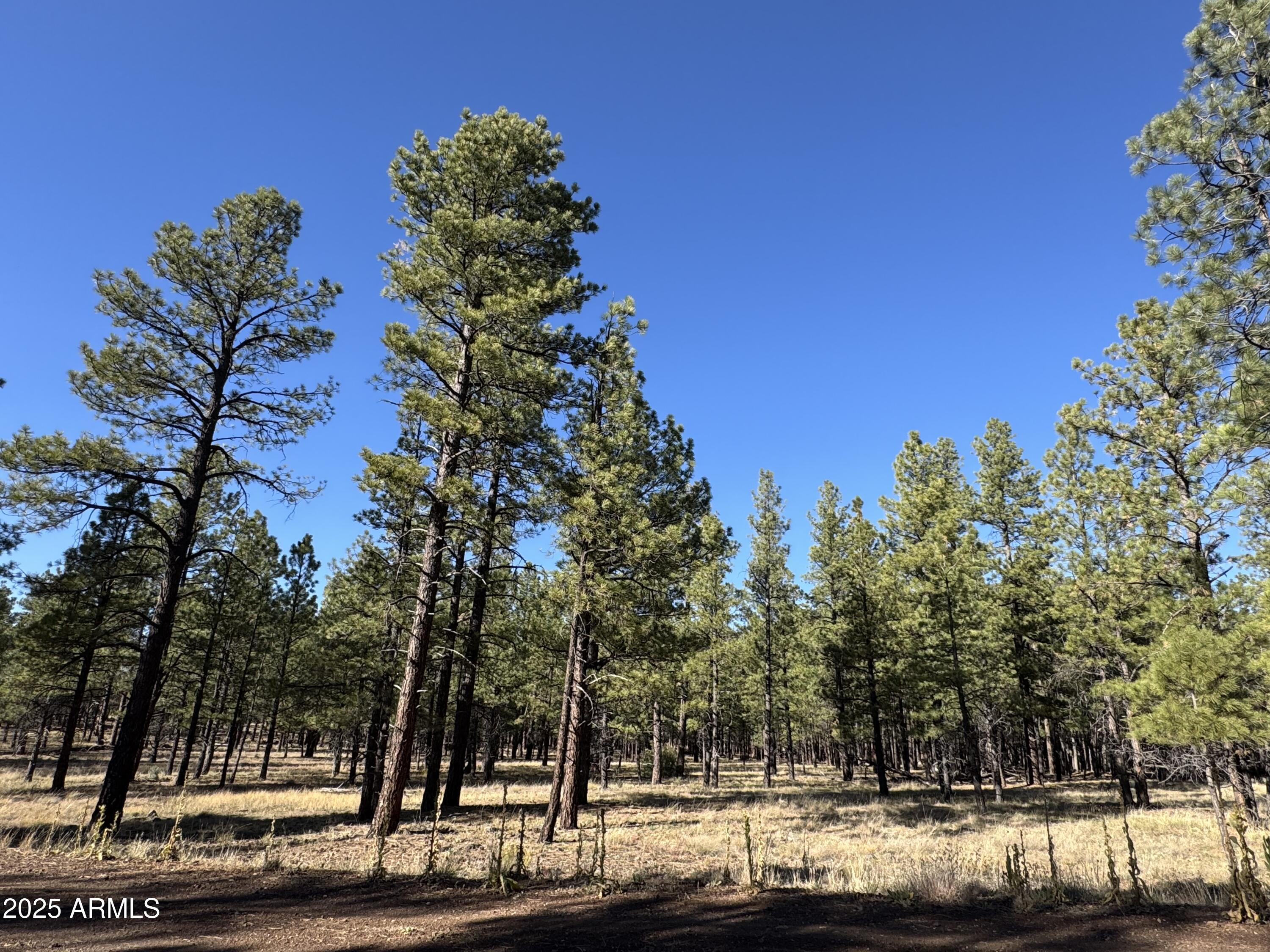 Lot 3L N Quintana Drive -