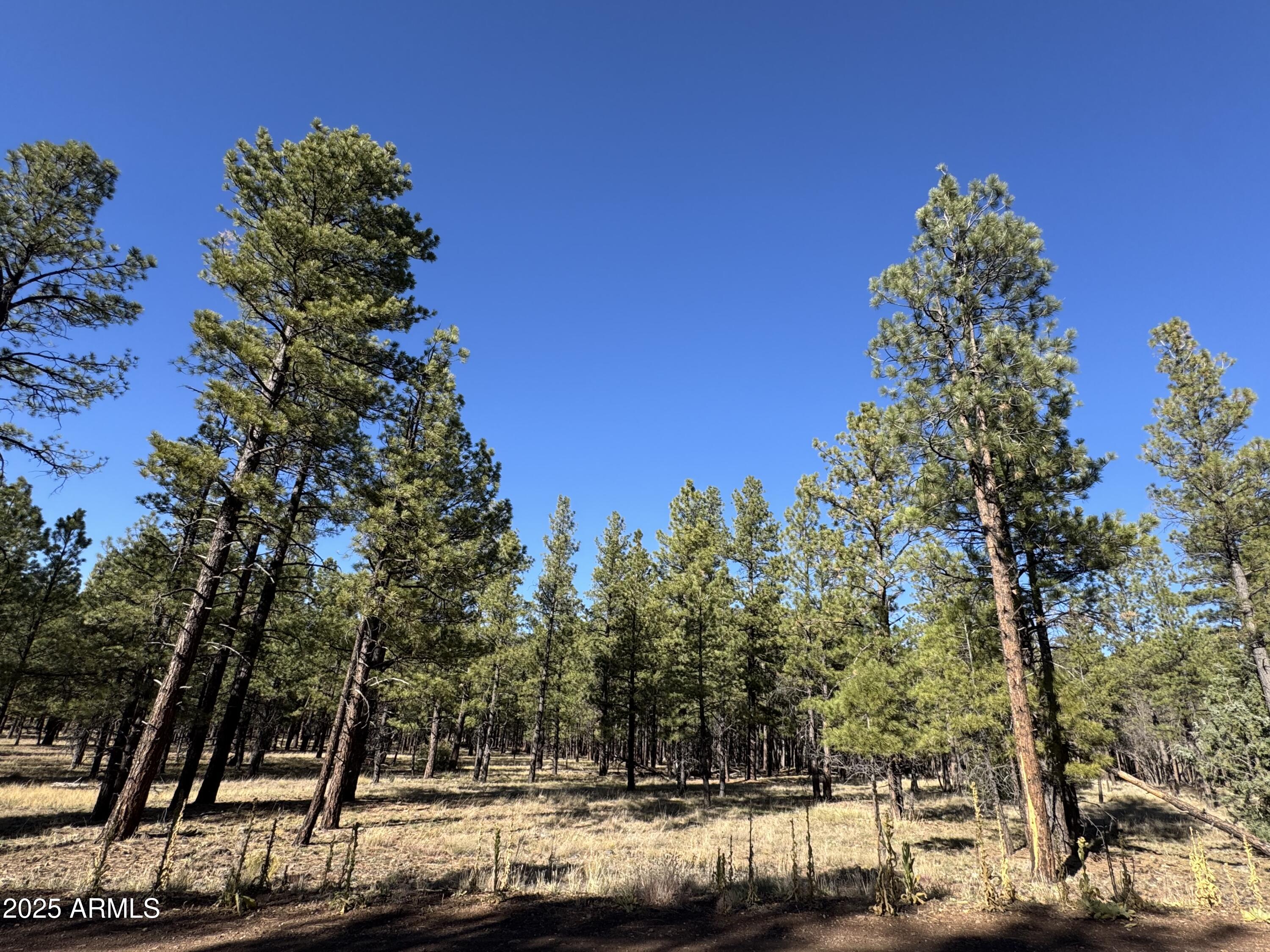 Lot 3L N Quintana Drive -