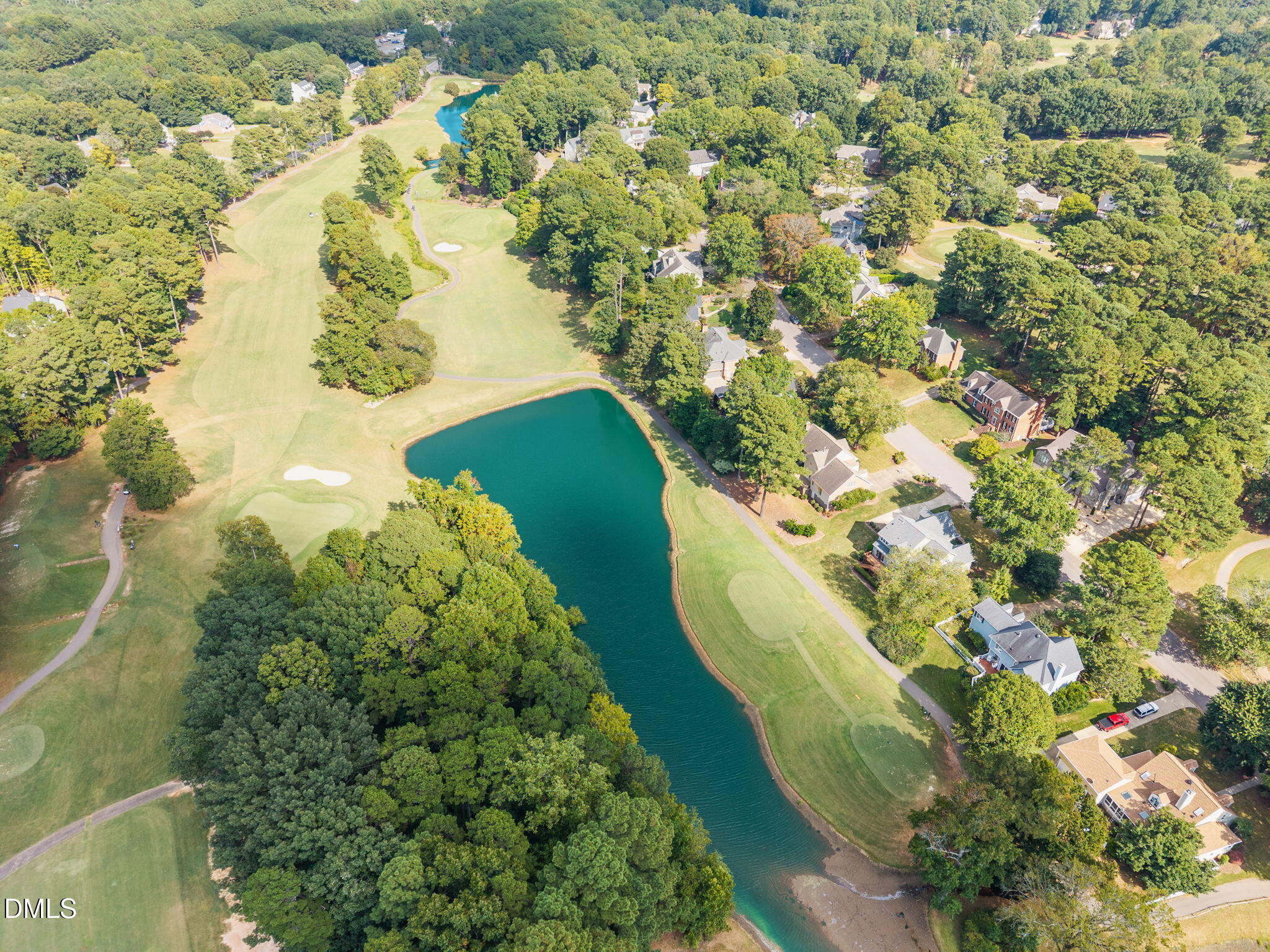 10109 Goodview Court