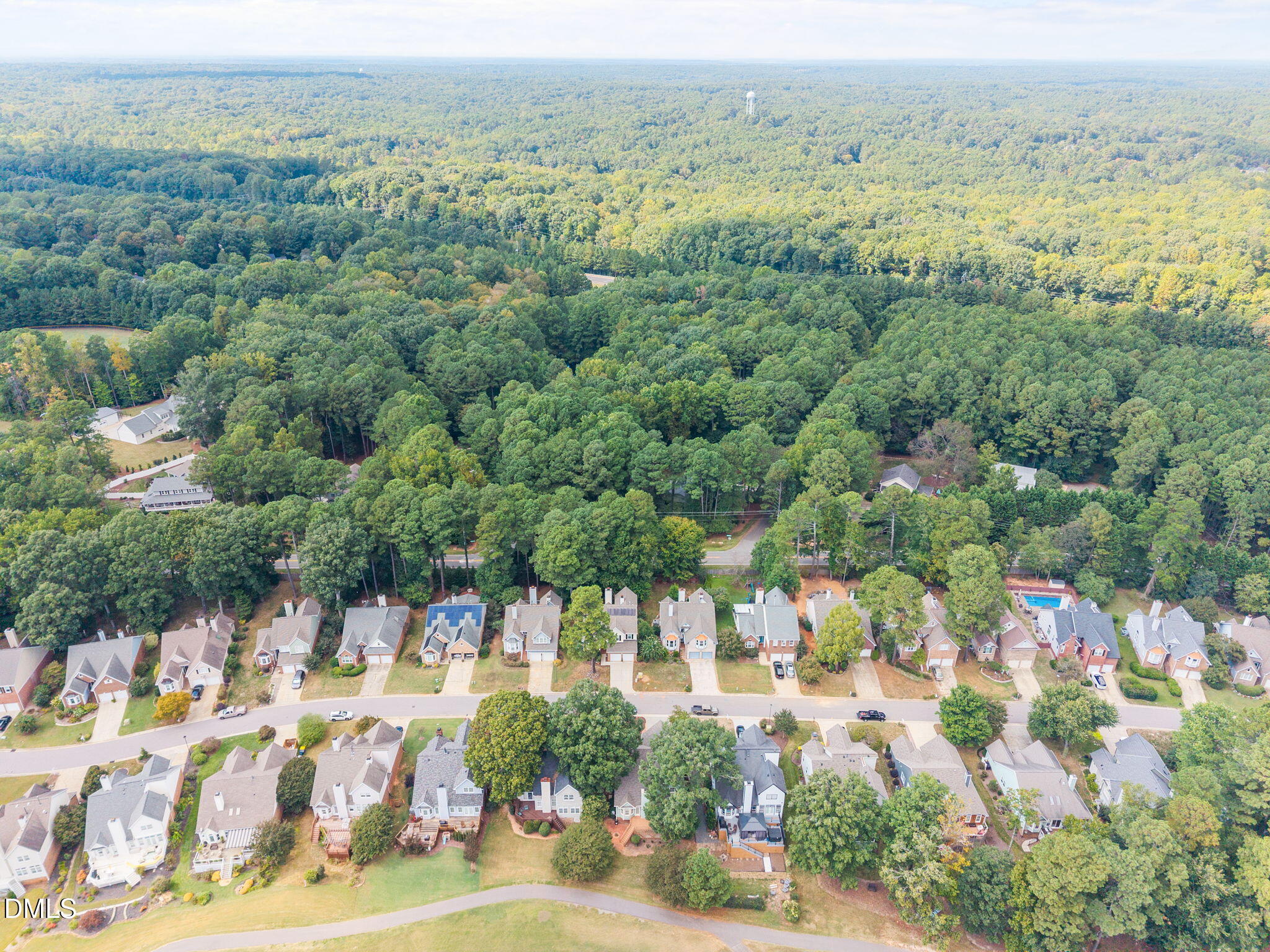 10109 Goodview Court