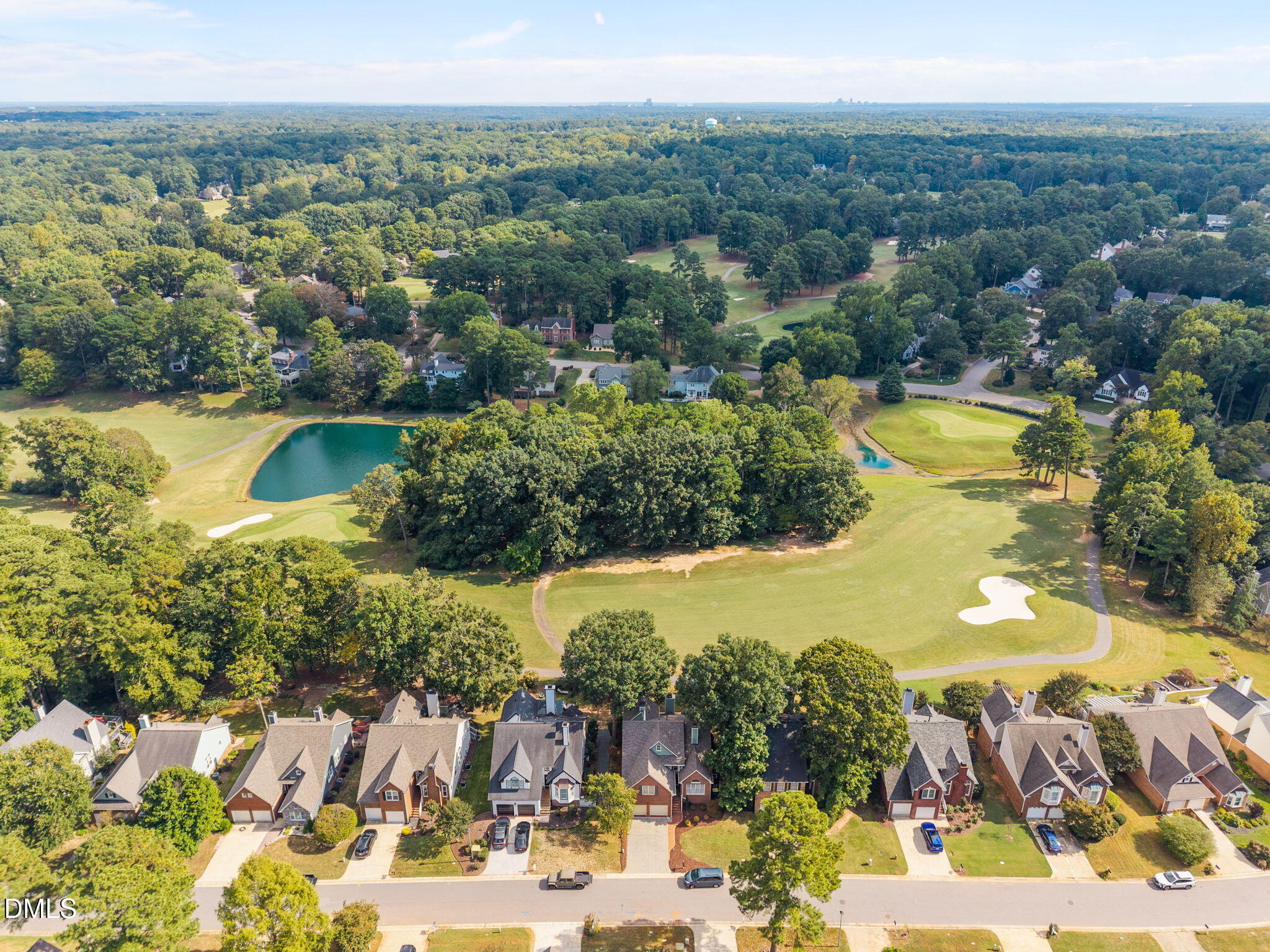 10109 Goodview Court