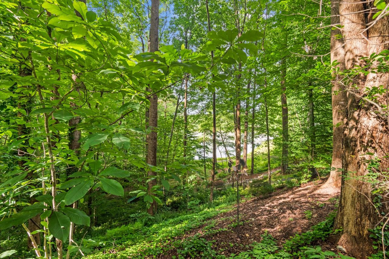 7104 Valley Lake Drive