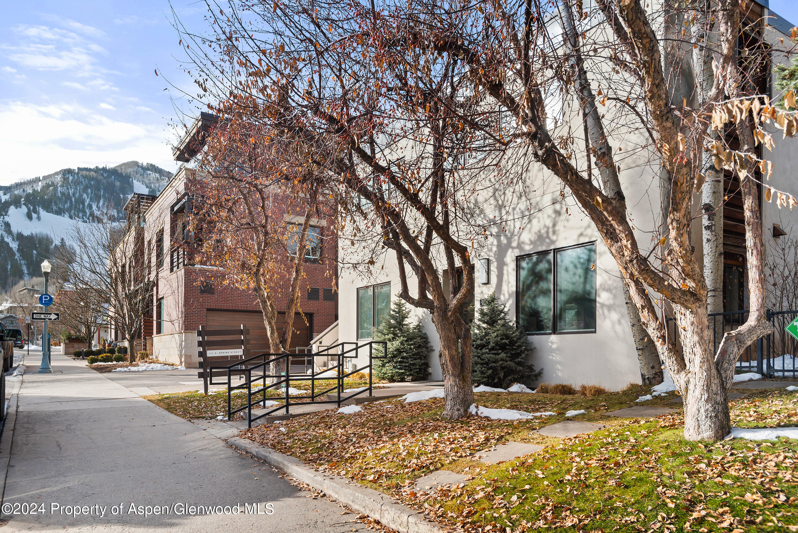 117 S Spring Street, A & B